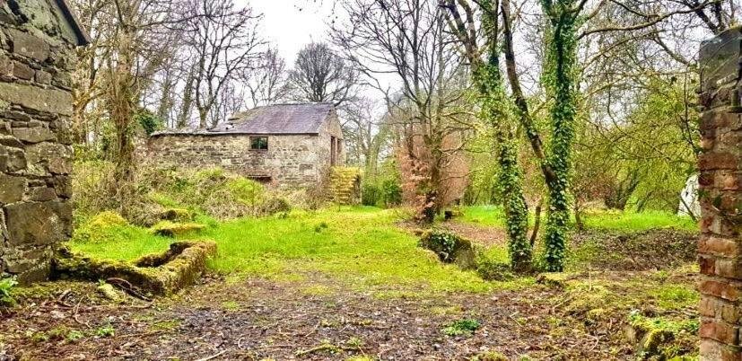 An overgrown outdoor area with old stone and brick structures, trees, and a grassy clearing.