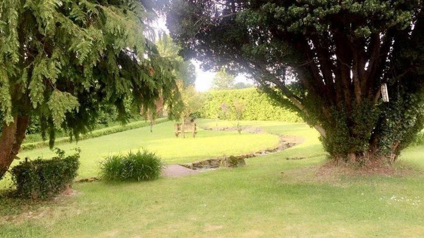 A peaceful park scene with lush green grass, large trees providing shade, a stone pathway, and a wooden bench in the distance.