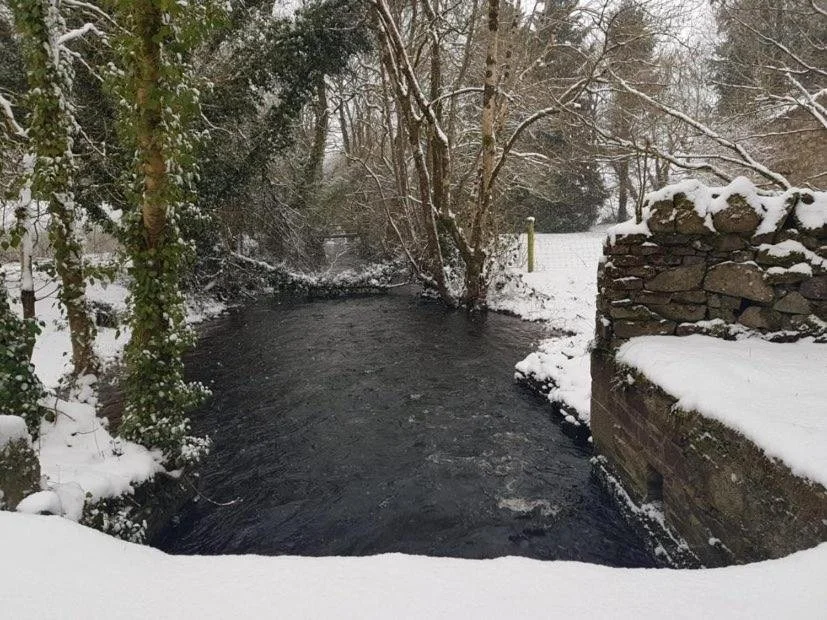 A small stream flowing through a snow-covered landscape with trees and a stone wall.