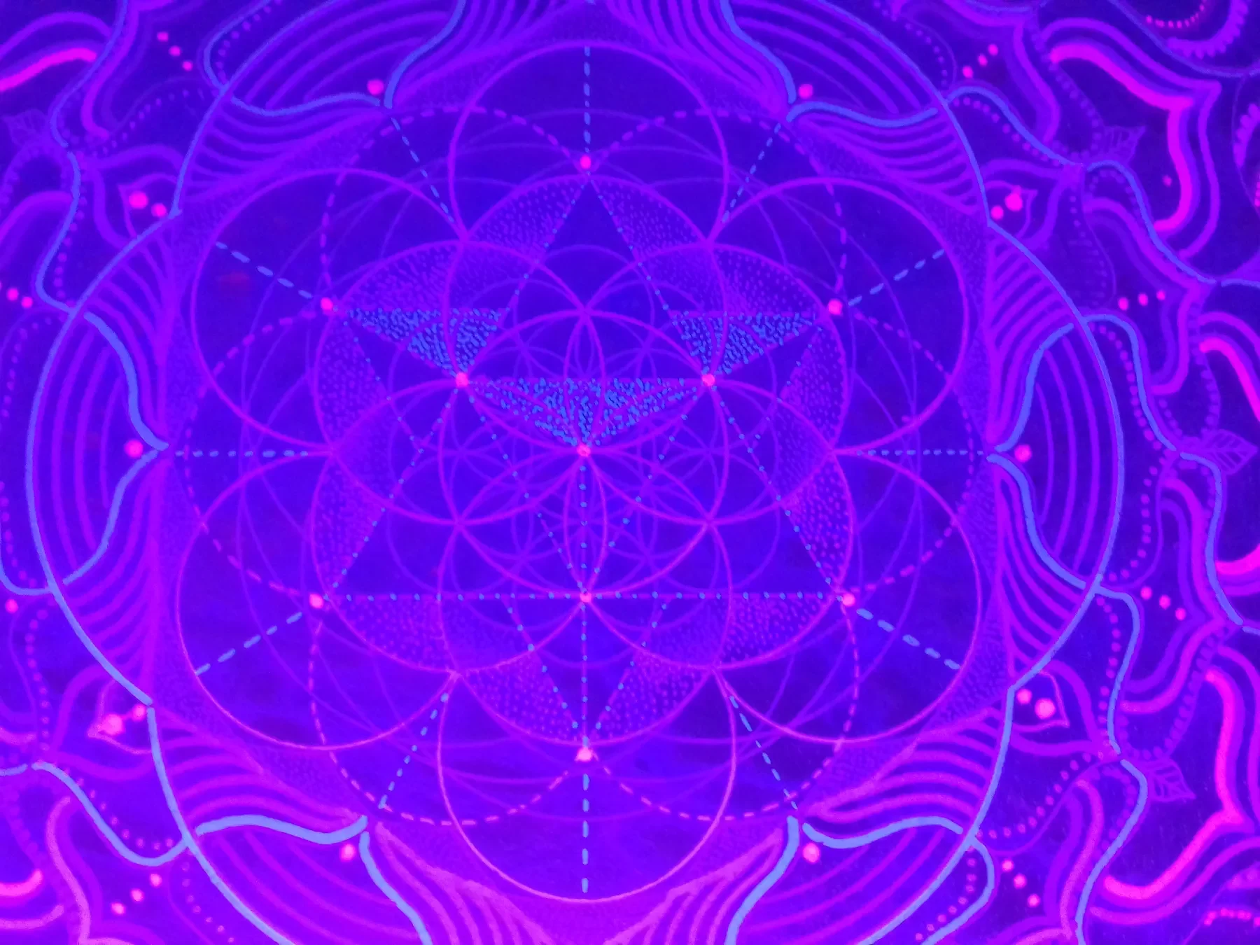 Vue centrale de la version nocturne sous lumière UV de l'oeuvre "psychedelight". Mandala en géométrie sacrée psychédélique avec fleur de vie et merkaba intriquées de couleur turquoise et rose réalisée sur bois par Tom Dusauvage. 