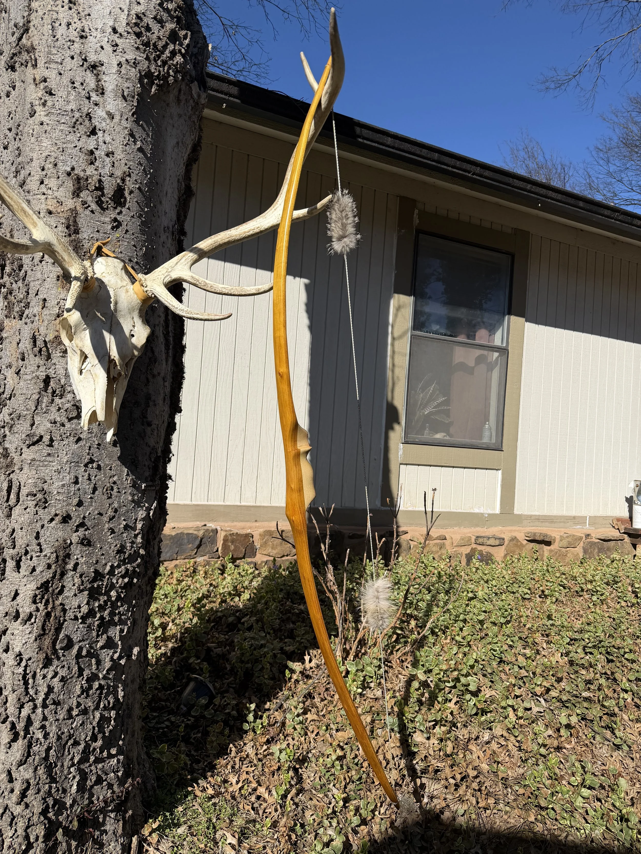 RH Hickory handle Osage self-bow. 57lbs @ 28