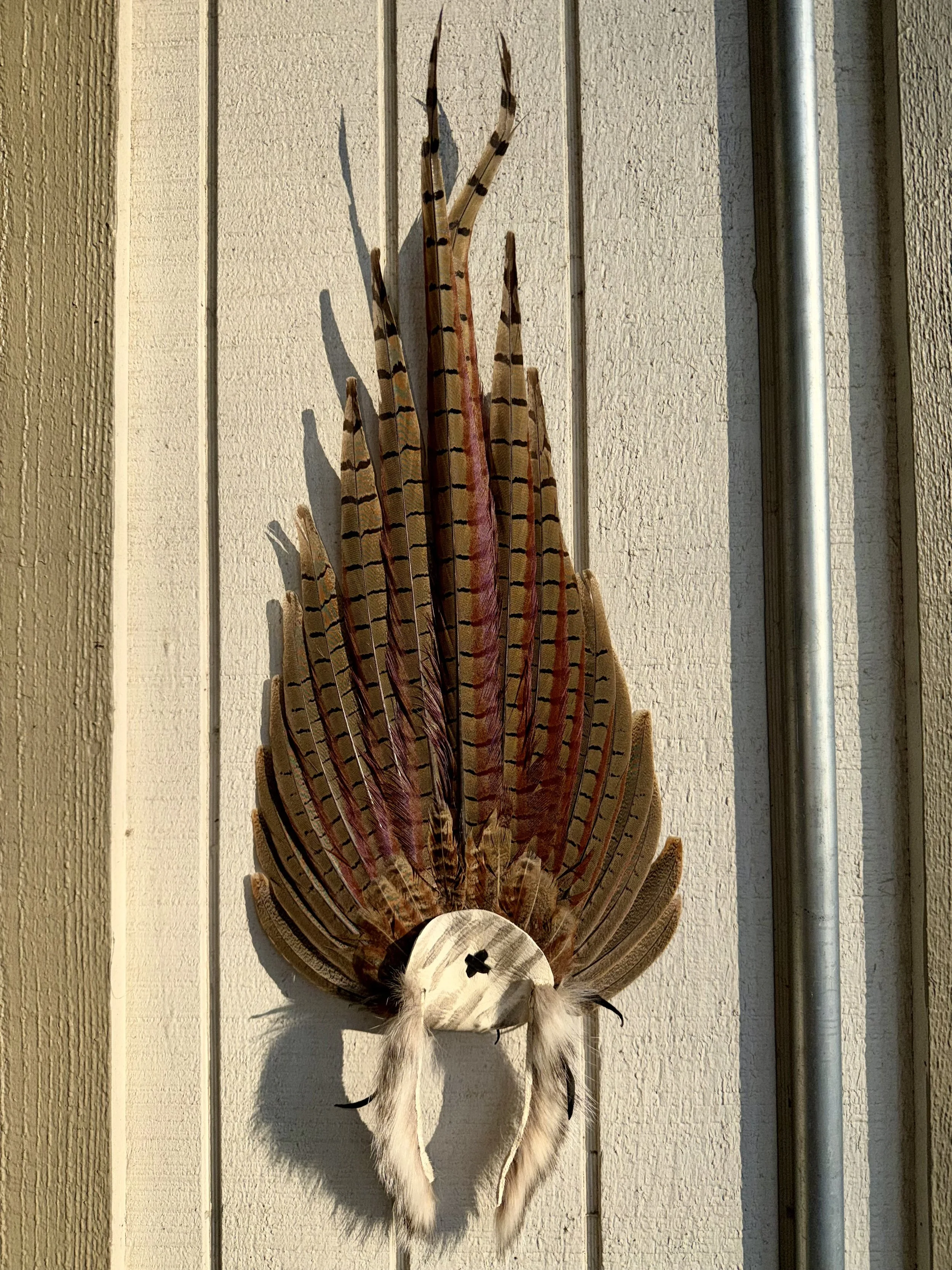 Pheasant Tail Wall Decor