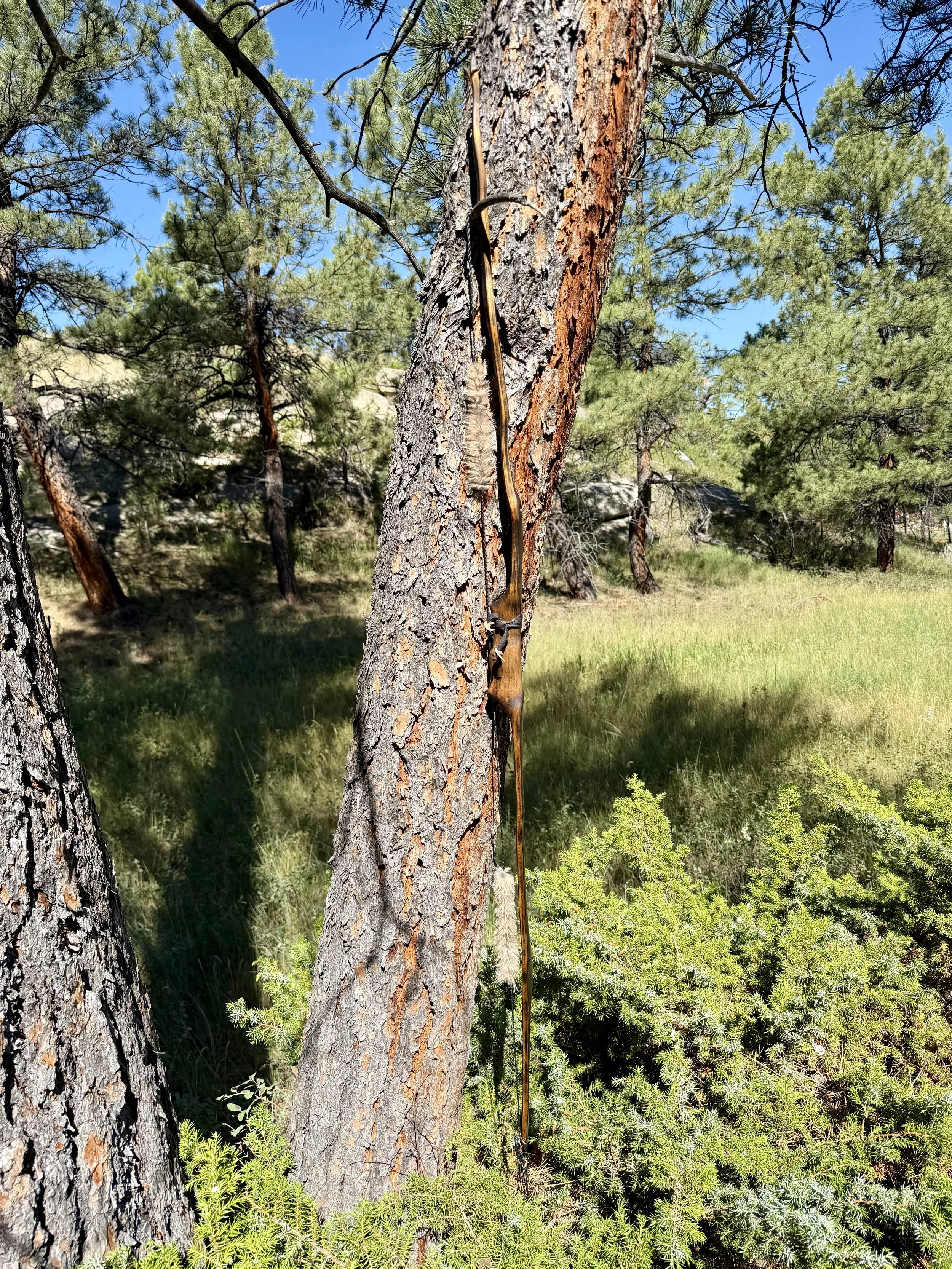 IMG_5733.jpeg