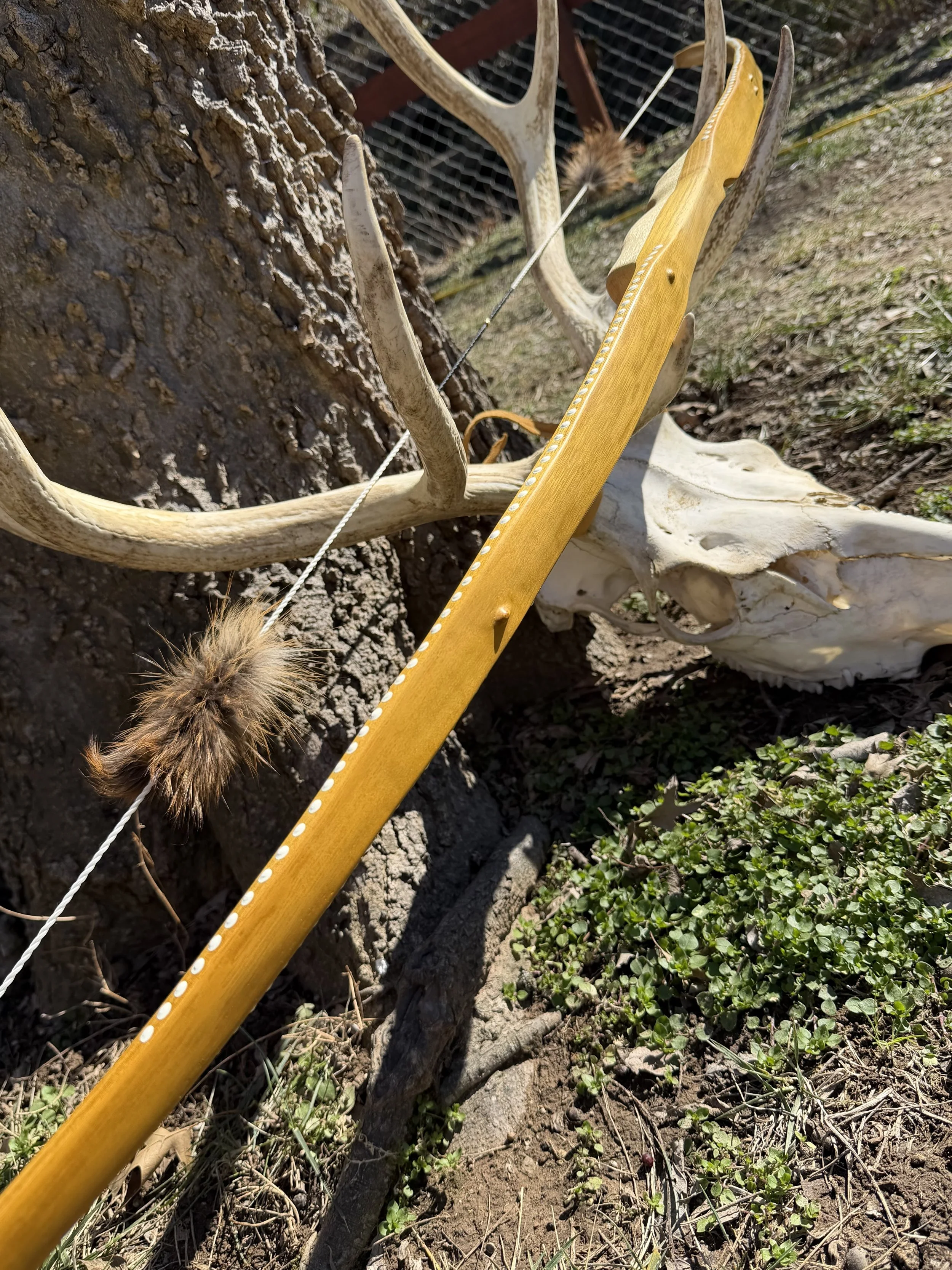 RH Hickory handle Osage self-bow. 43lbs @ 28