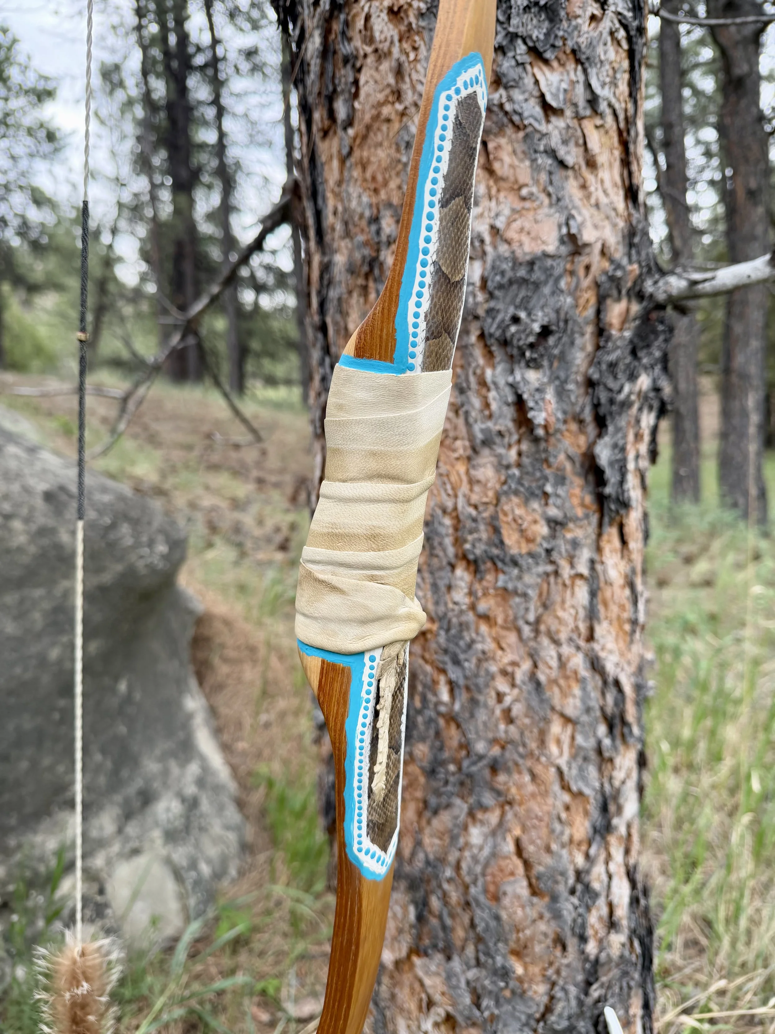 IMG_5581.jpeg