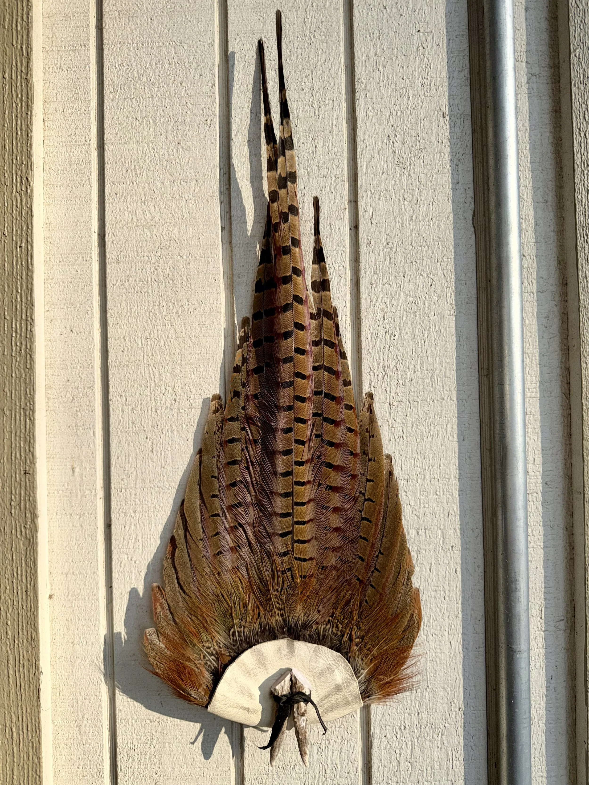 Pheasant Tail Wall Decor