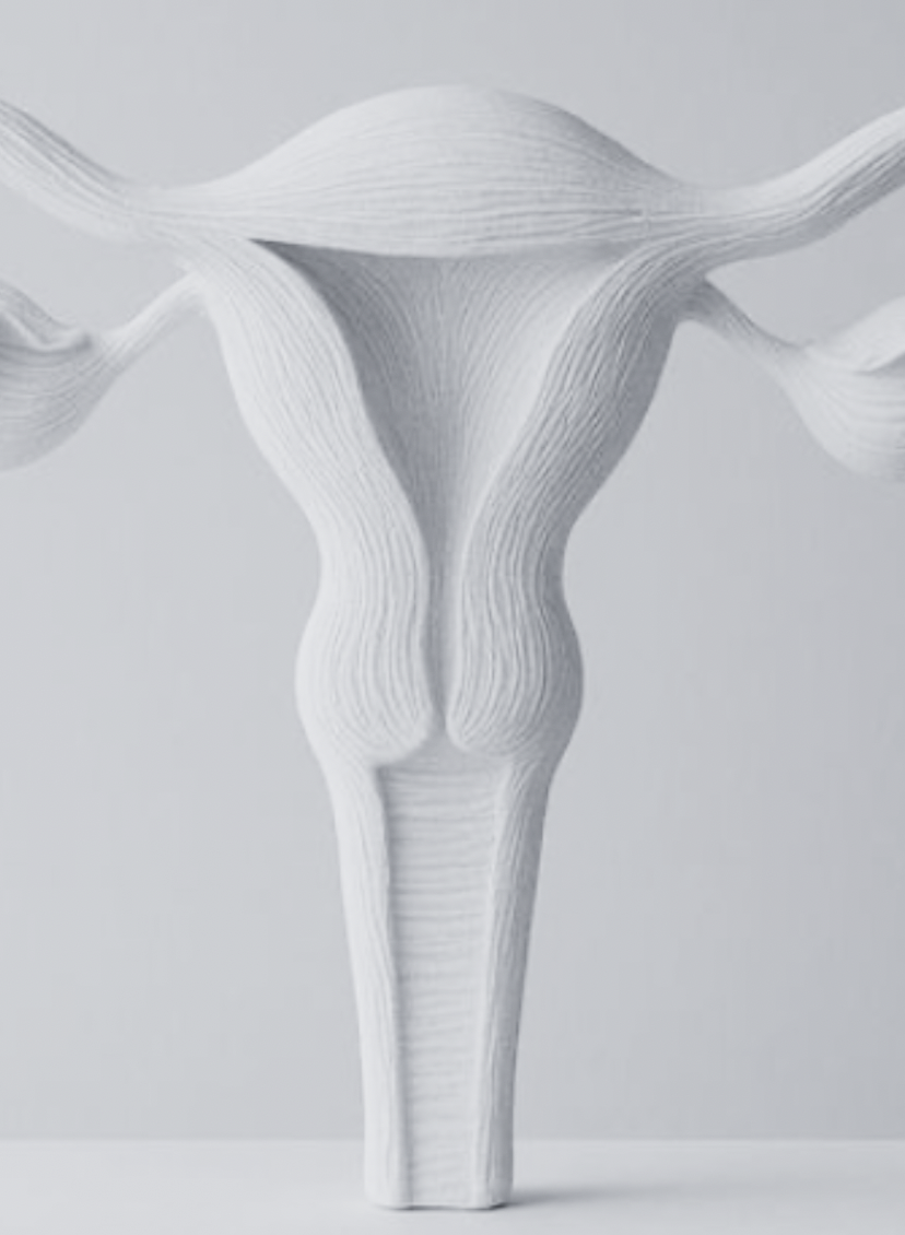 Women's Hormone Health Naturopathic Consult