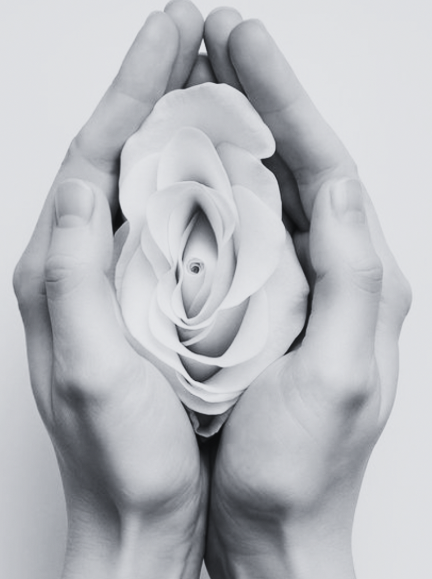 Vaginal Health, Naturopathic Consult