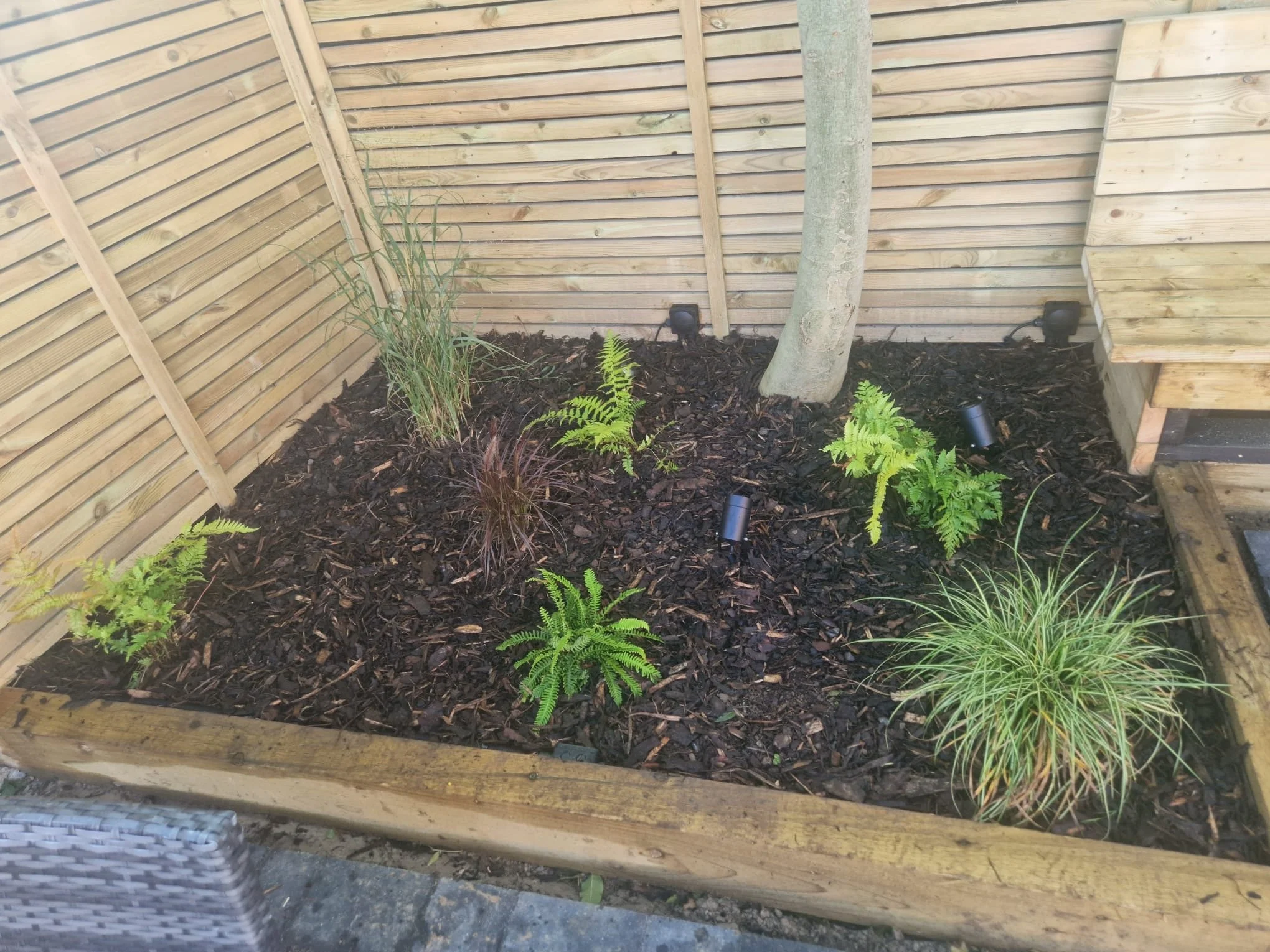 Photo 02-01-2026, 09 48 51 (6).jpg