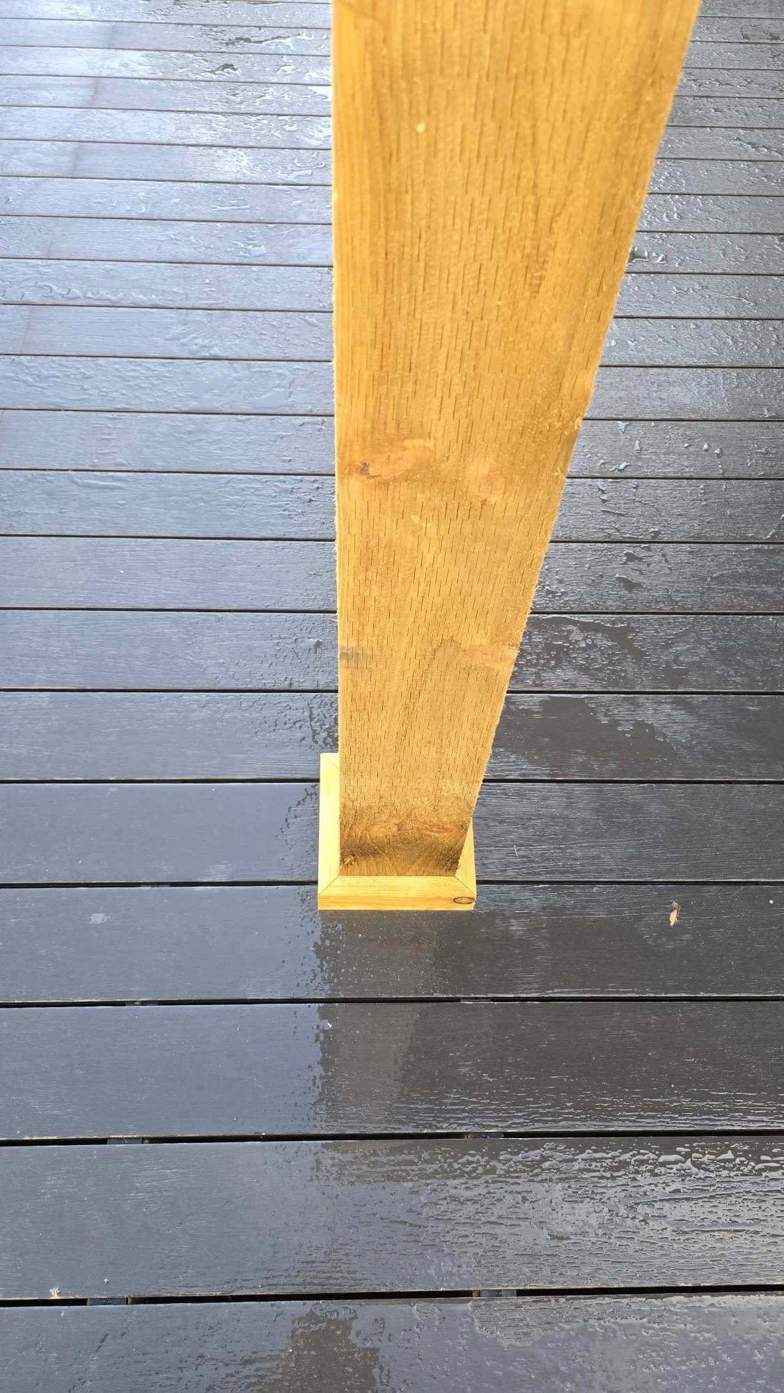 Photo 23-12-2025, 08 48 30.jpg