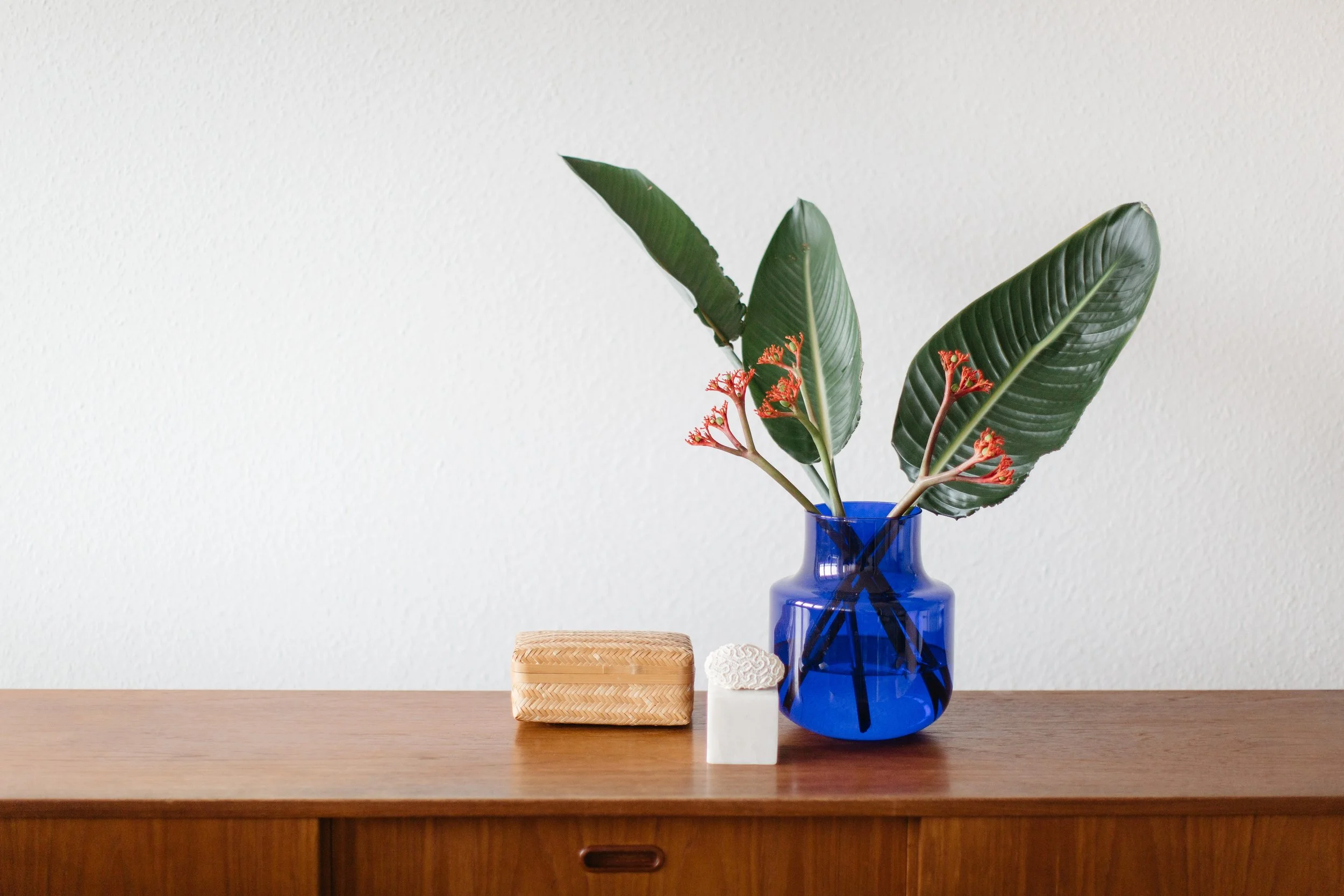 nicolehertelphotography_WEB-13.jpg