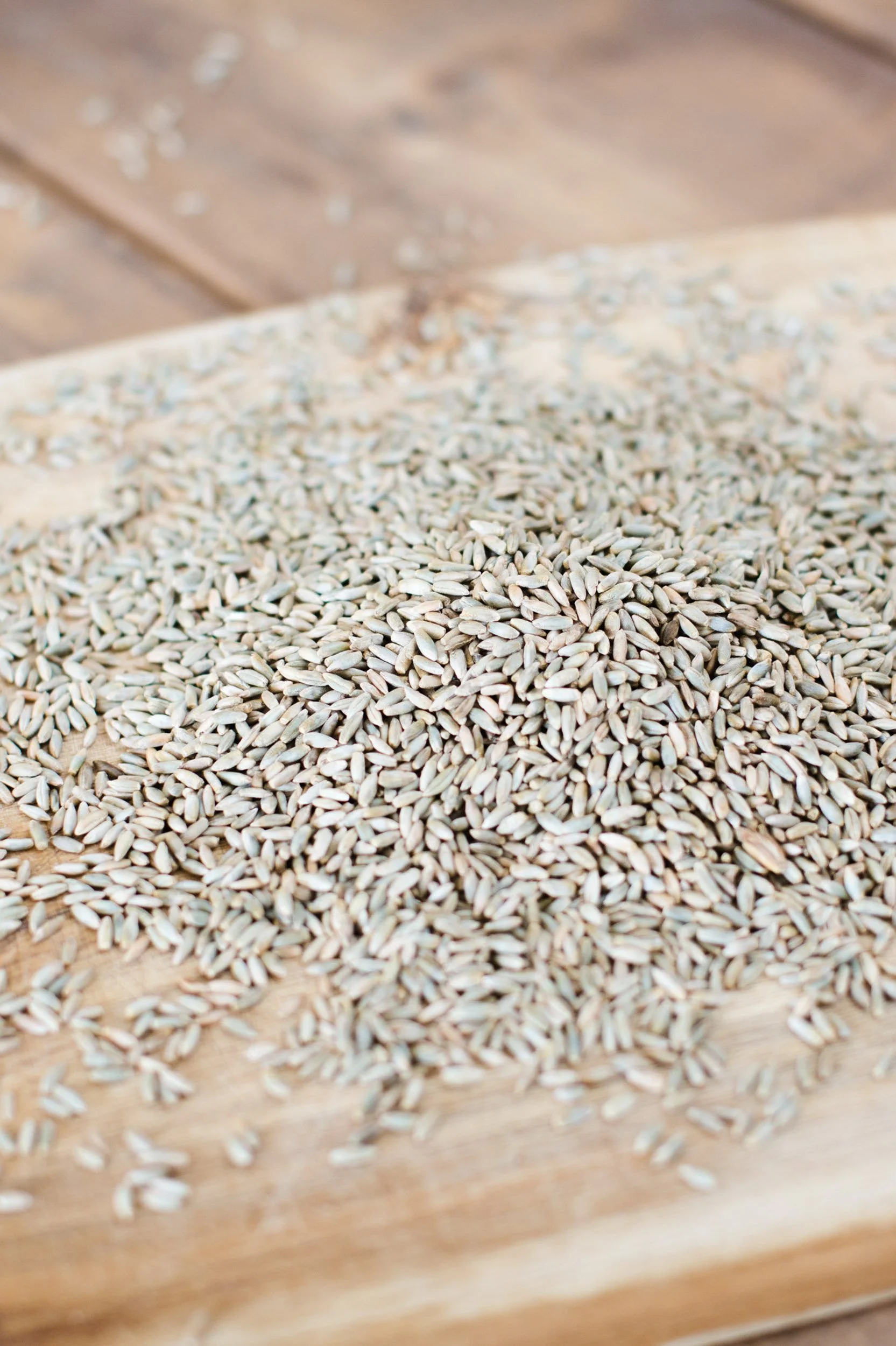 Lifestyle, Nordic Taste