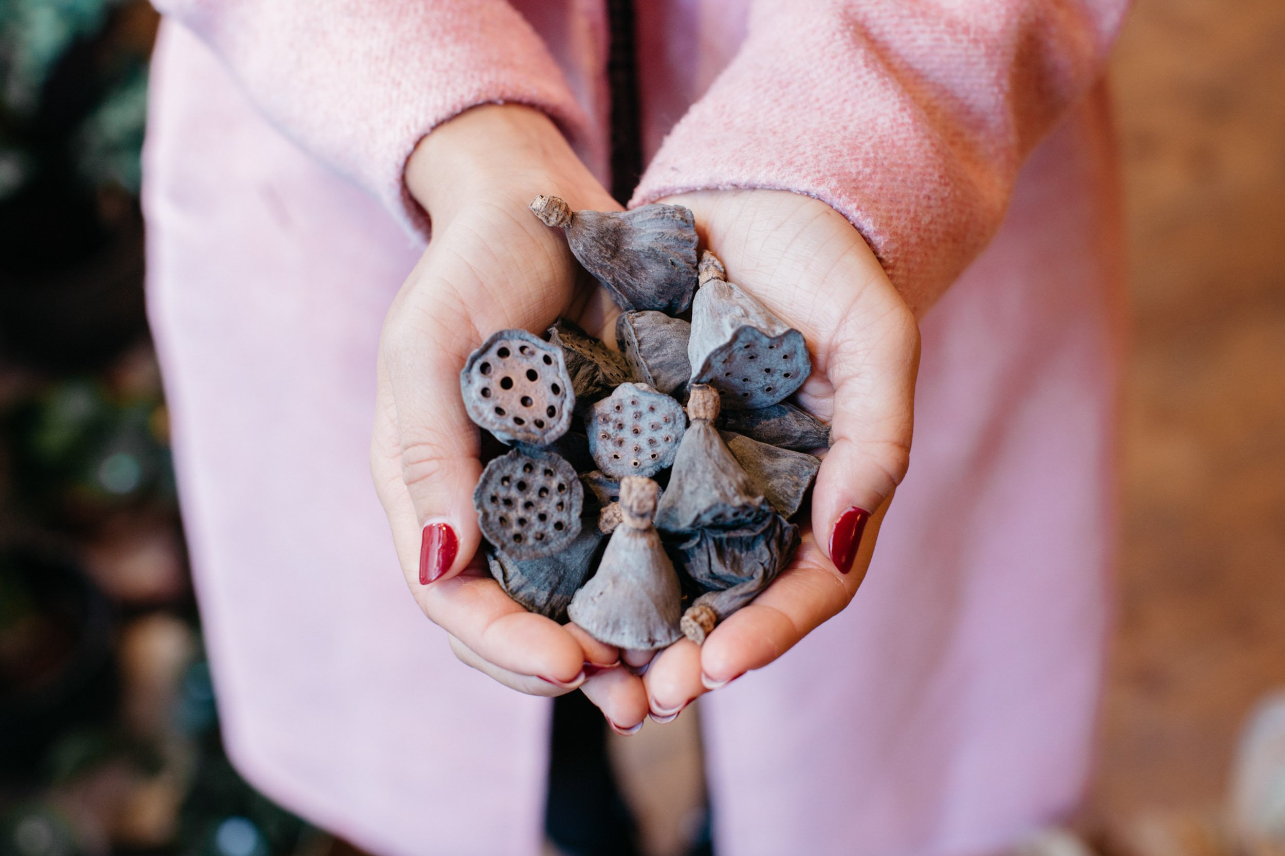 Creative, L'Attribut d'Iris Lausanne