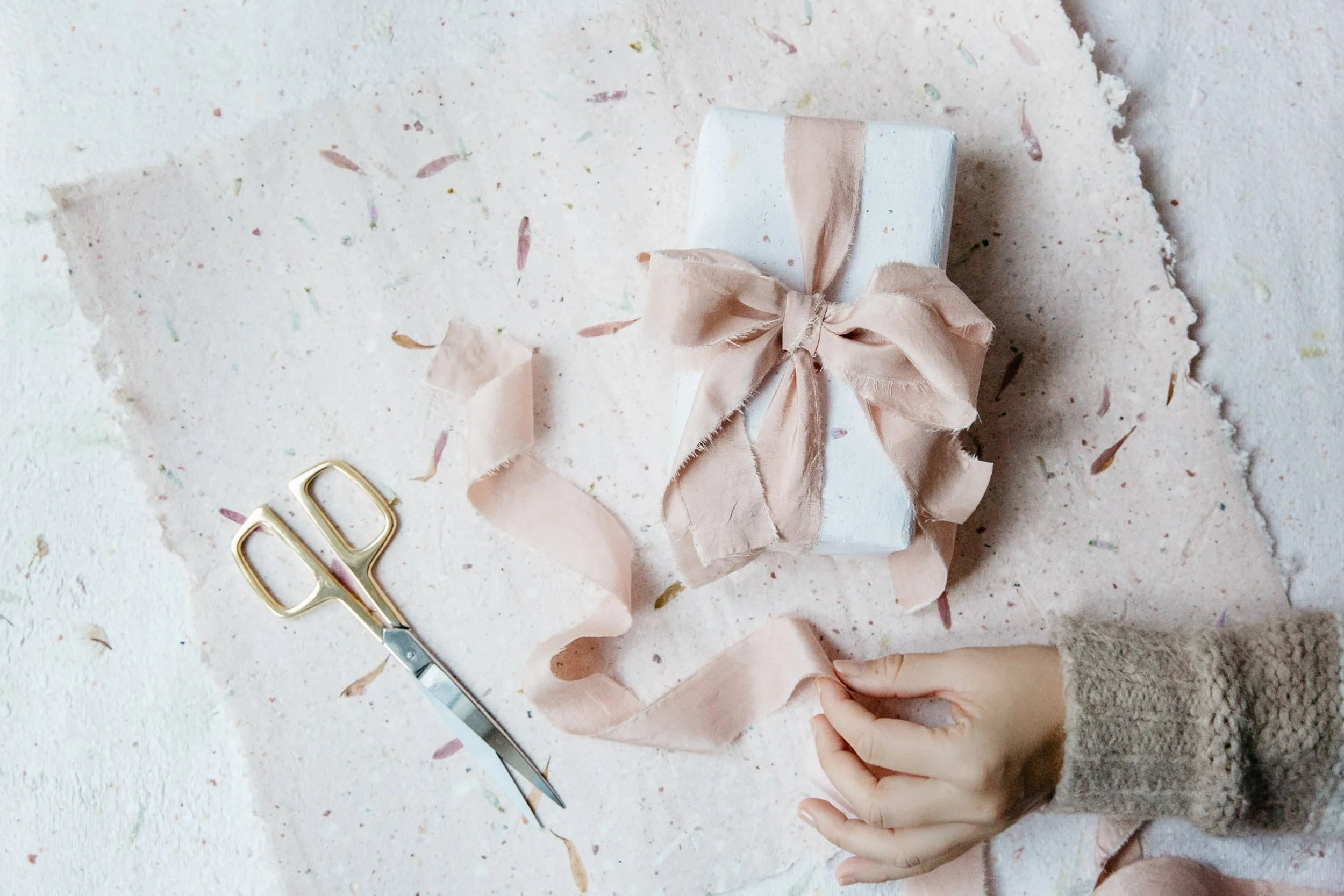 Creative, Sofia Clara