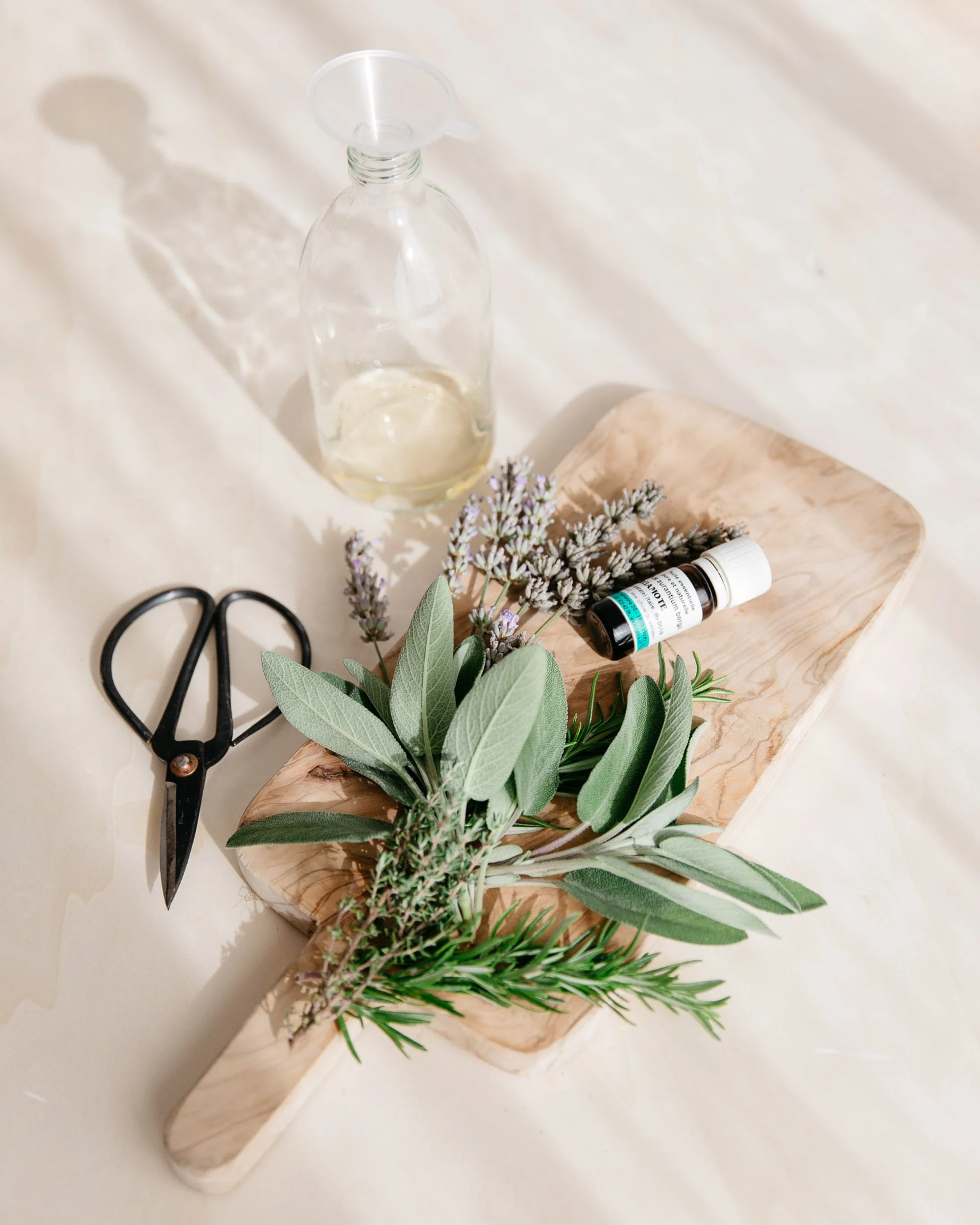 Creative, Sofia Clara