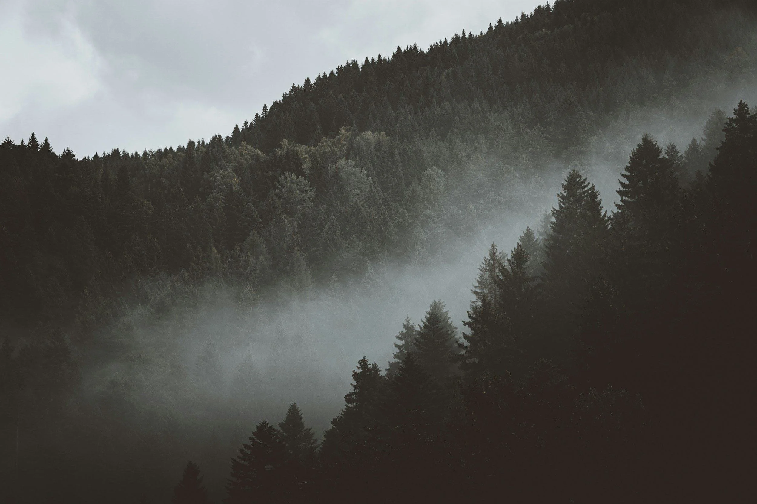 Between Worlds: The Purgatory of Slowing Down 