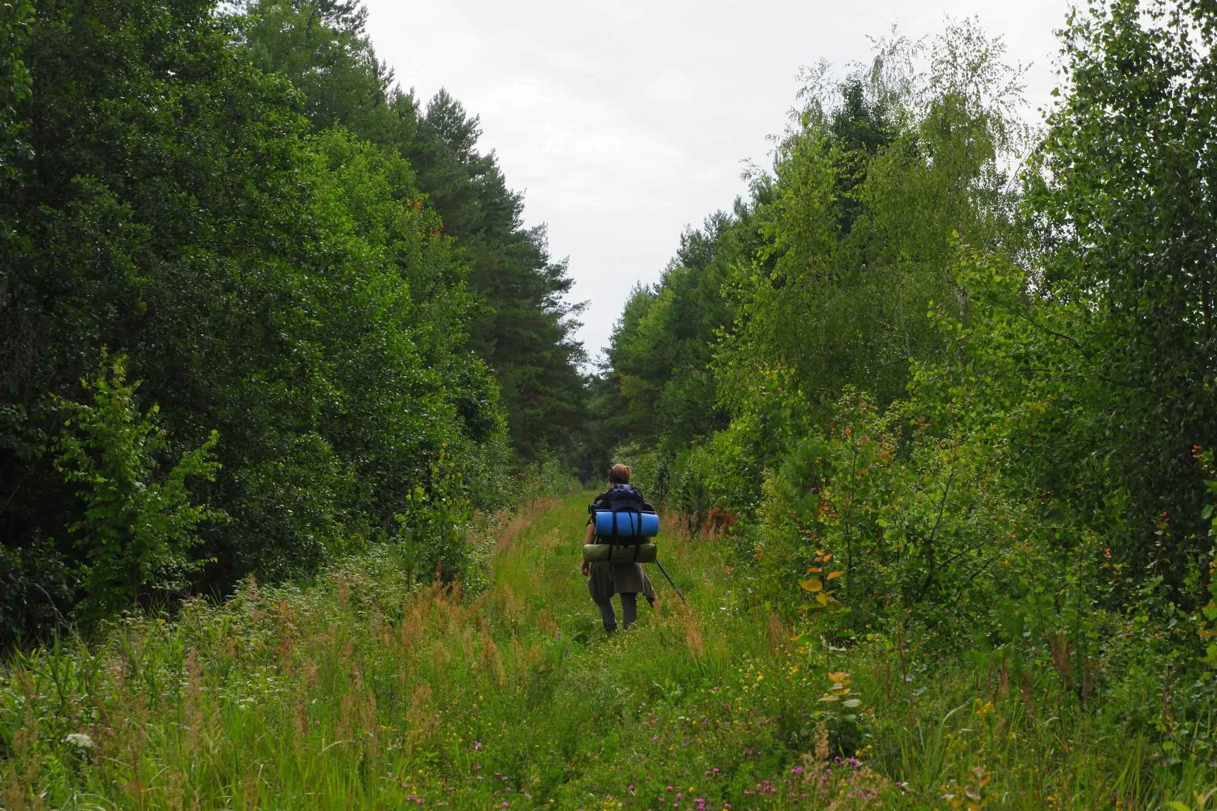 Man on a walking path in nature.