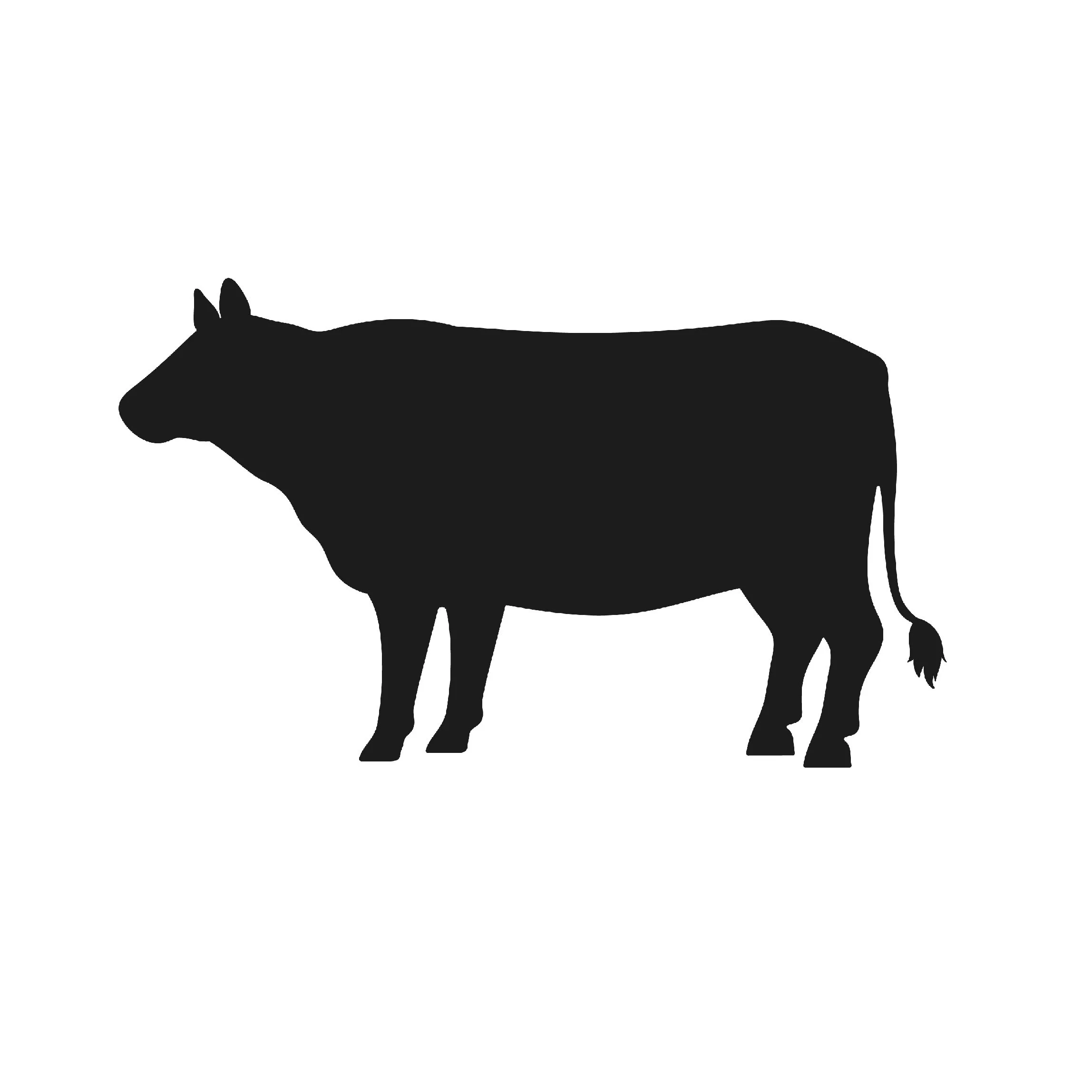 Cow_Resized.jpg