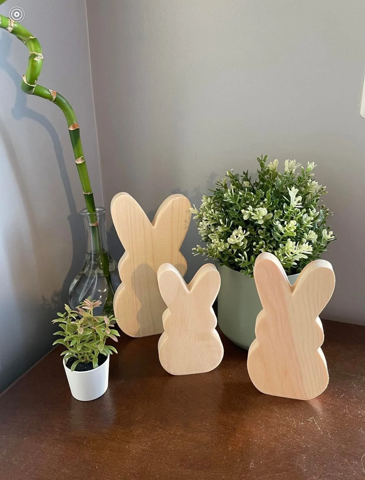 IMG_2248.jpeg (Copy)