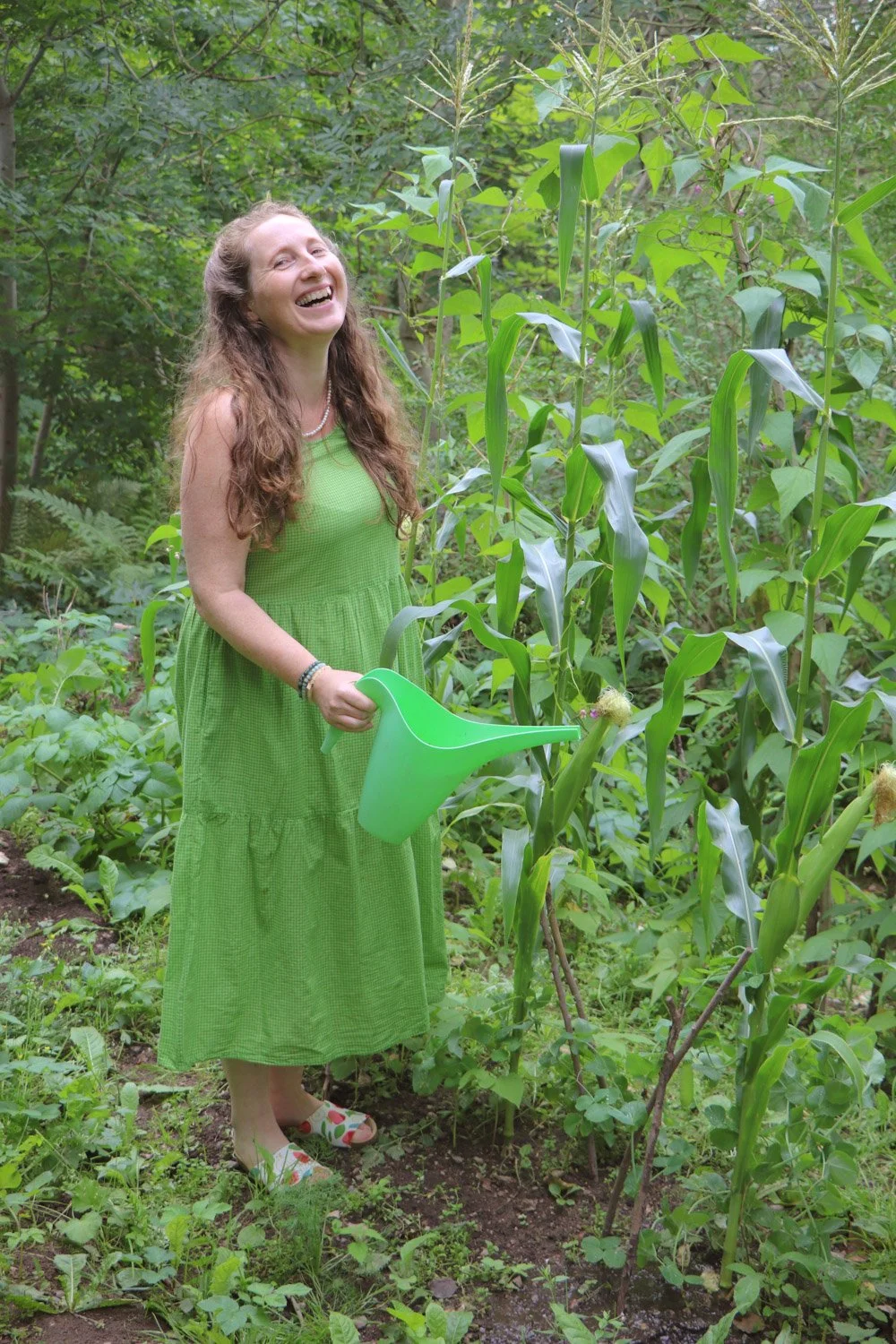 Kvinne vanner maisplantene i kjøkkenhagen. Få tips til vanning og omsorg for en rik og smakfull avling.