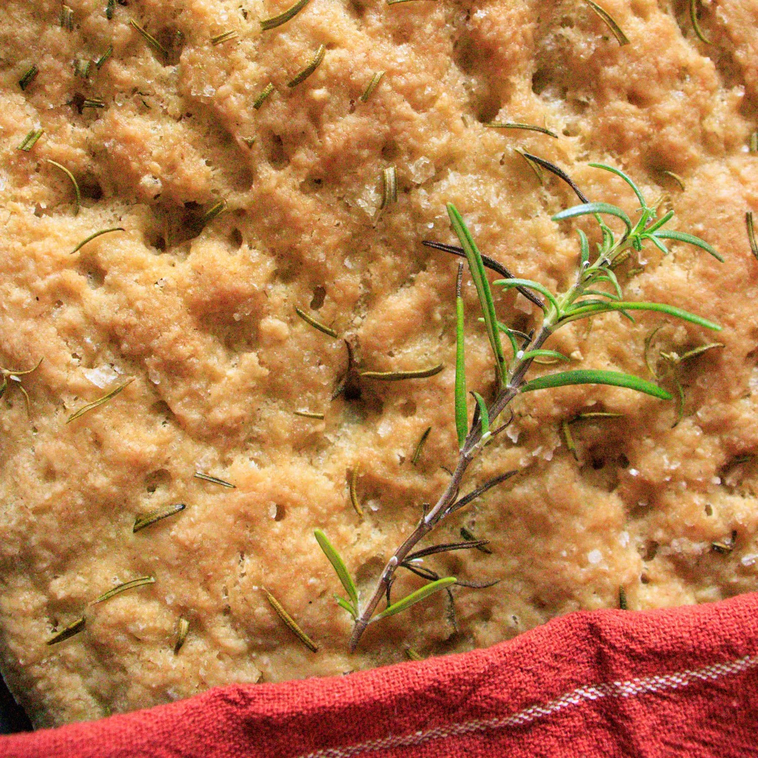 Nystekt glutenfri focaccia med frisk rosmarin
