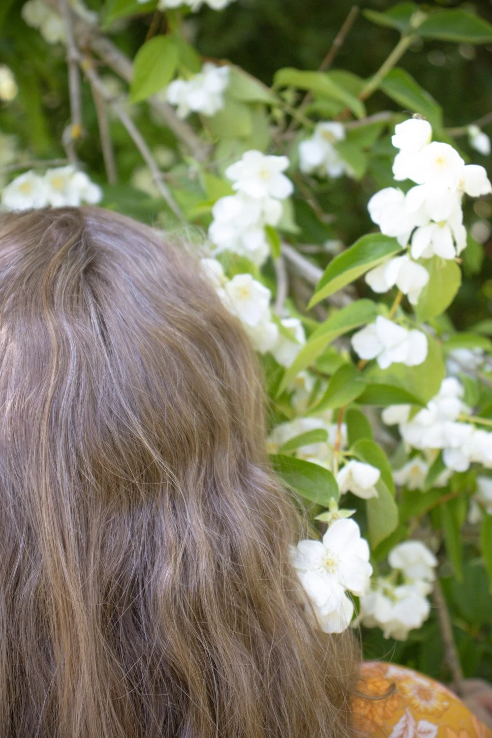 Nærbilde av ryggen på en person med brunt langt hår, som står foran en busk med hvite blomster.