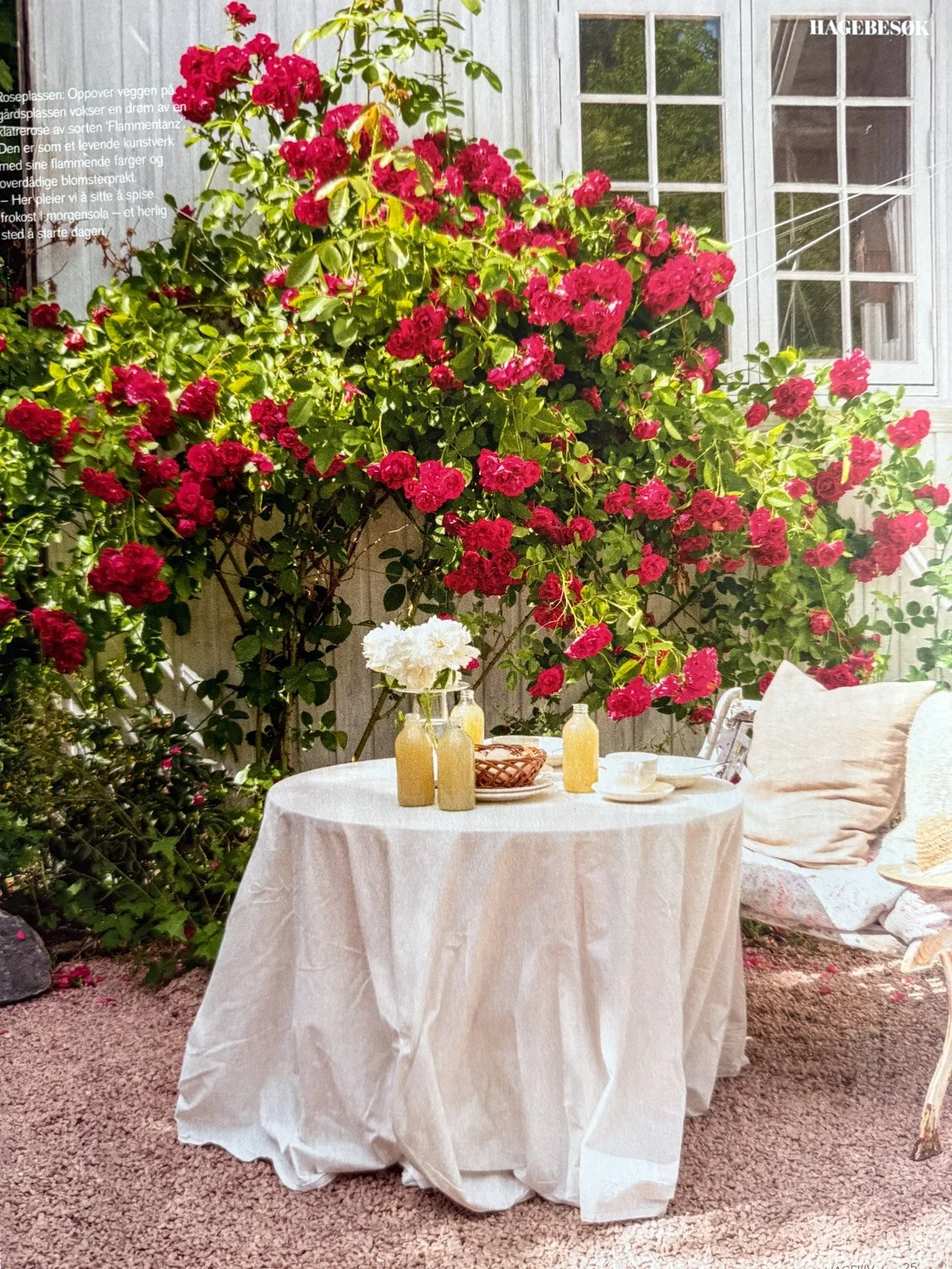 Hagereportasje i Hageliv & Uterom magasin
10 siders hagereportasje om min hage kom på trykk i magasinet Hageliv & Uterom 2024. Hele artikkelen kan leses i utgave mai 2024.