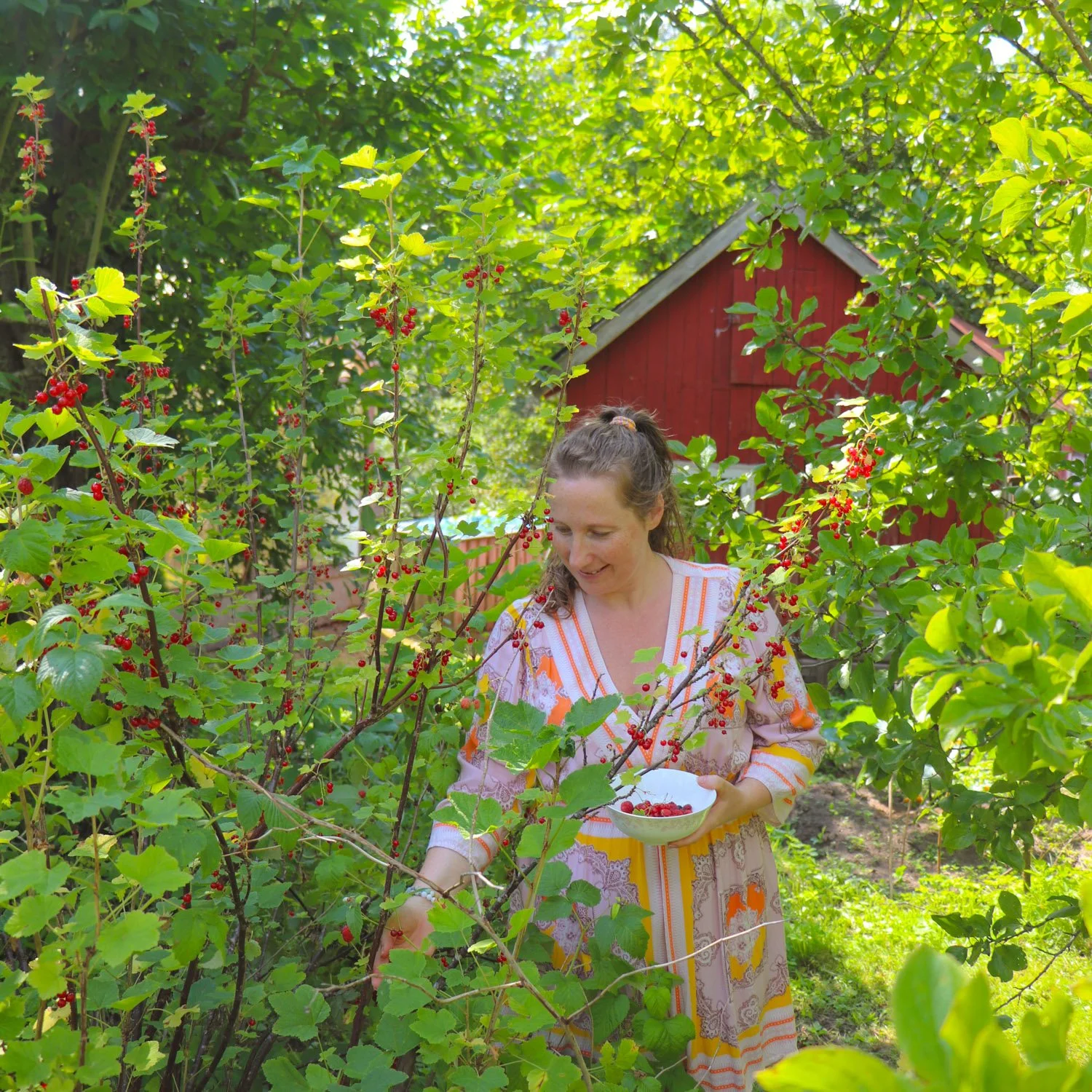 Plukke bær i hagen om sommeren og lage syltetøy – en enkel øvelse i sakteliv og mindfulness.
