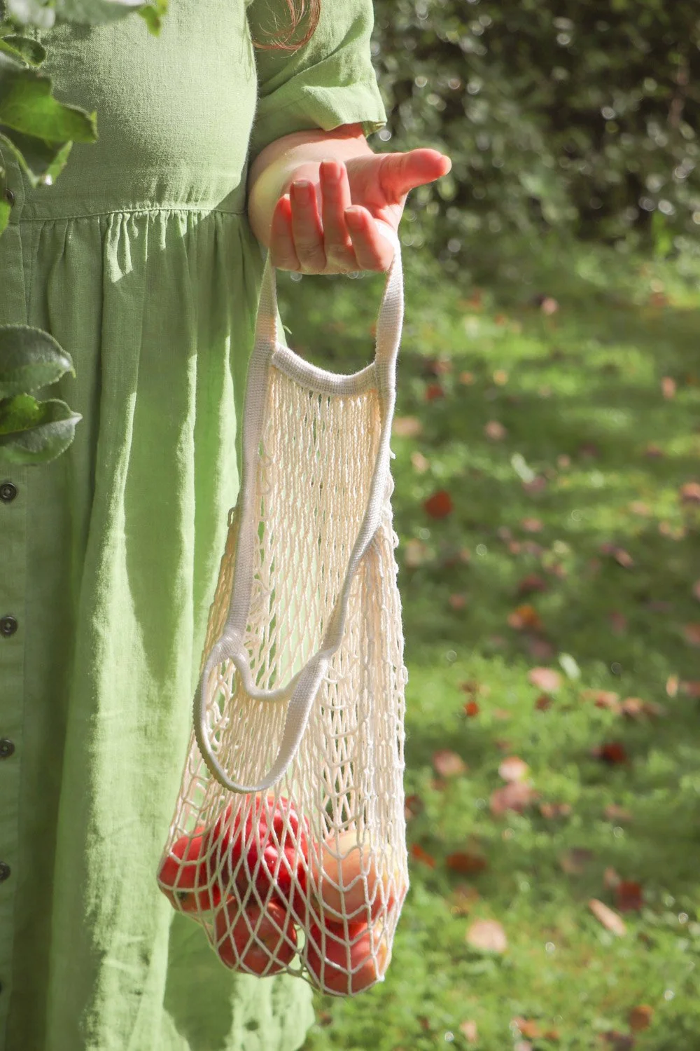 Kvinne plukker epler i høsthagen og legger dem i et hagenett