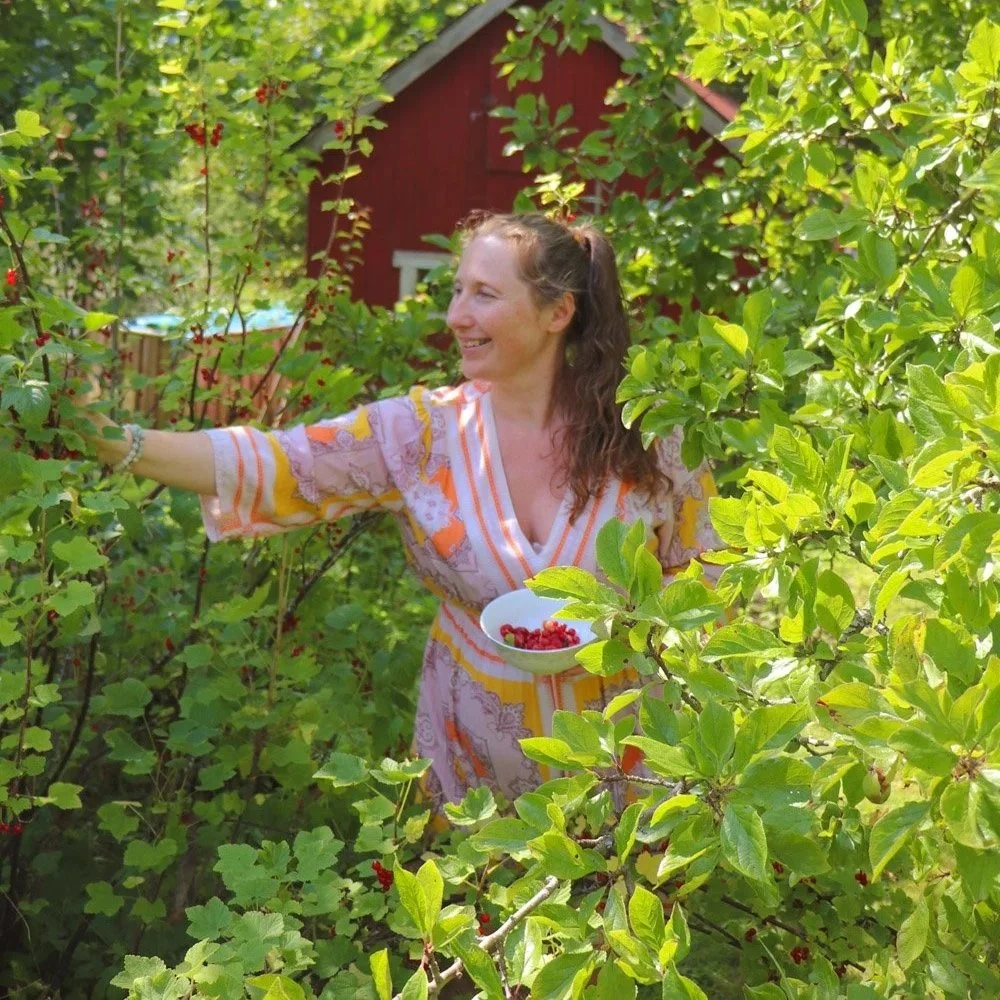 Kvinne i blomstrende hage plukker bær, smiler, med en bolle med røde bær, foran en rød hytte, omgitt av grønne planter.