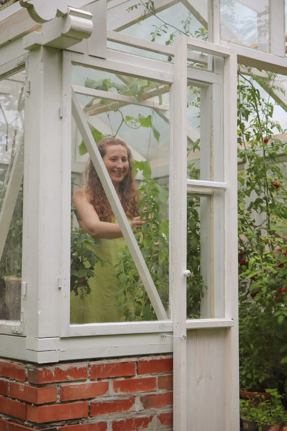 Kvinne i grønn kjole som steller en Stevia-urt i drivhuset, omgitt av frodige planter