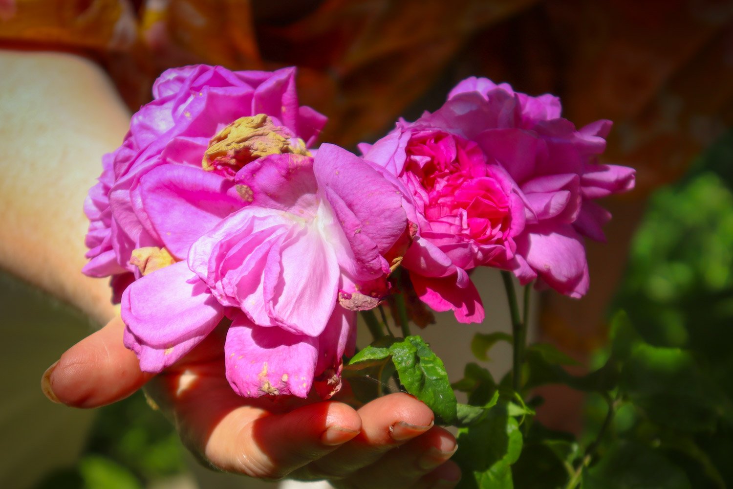 Slipp stresset og sov bedre