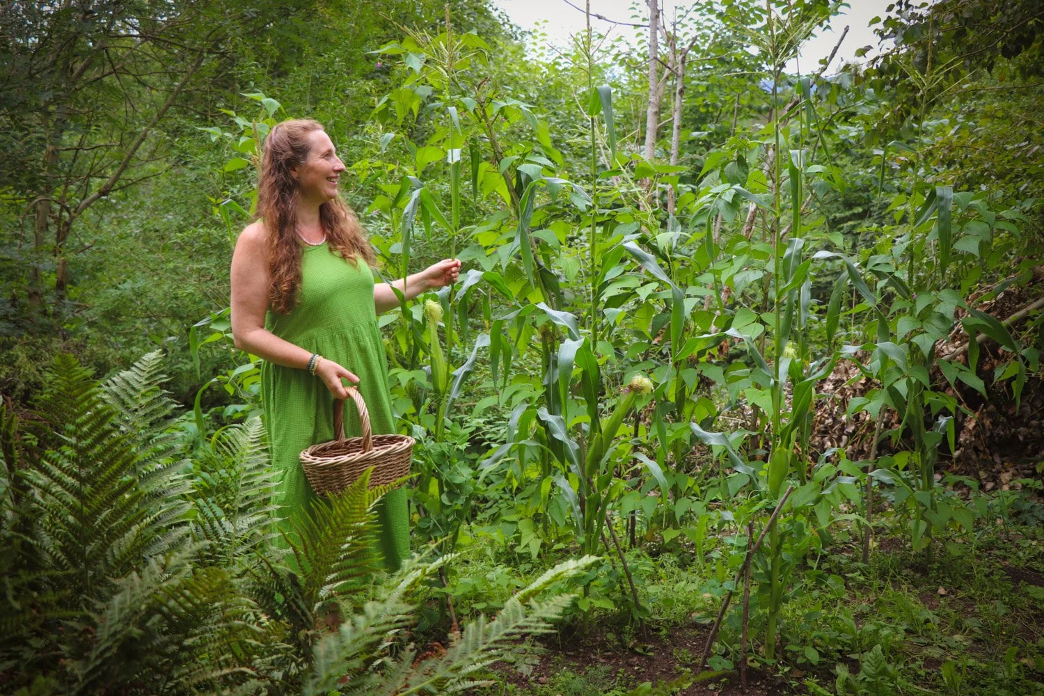 Kvinne i grønn kjole som dyrker mais i kjøkkenhagen en sommerdag.