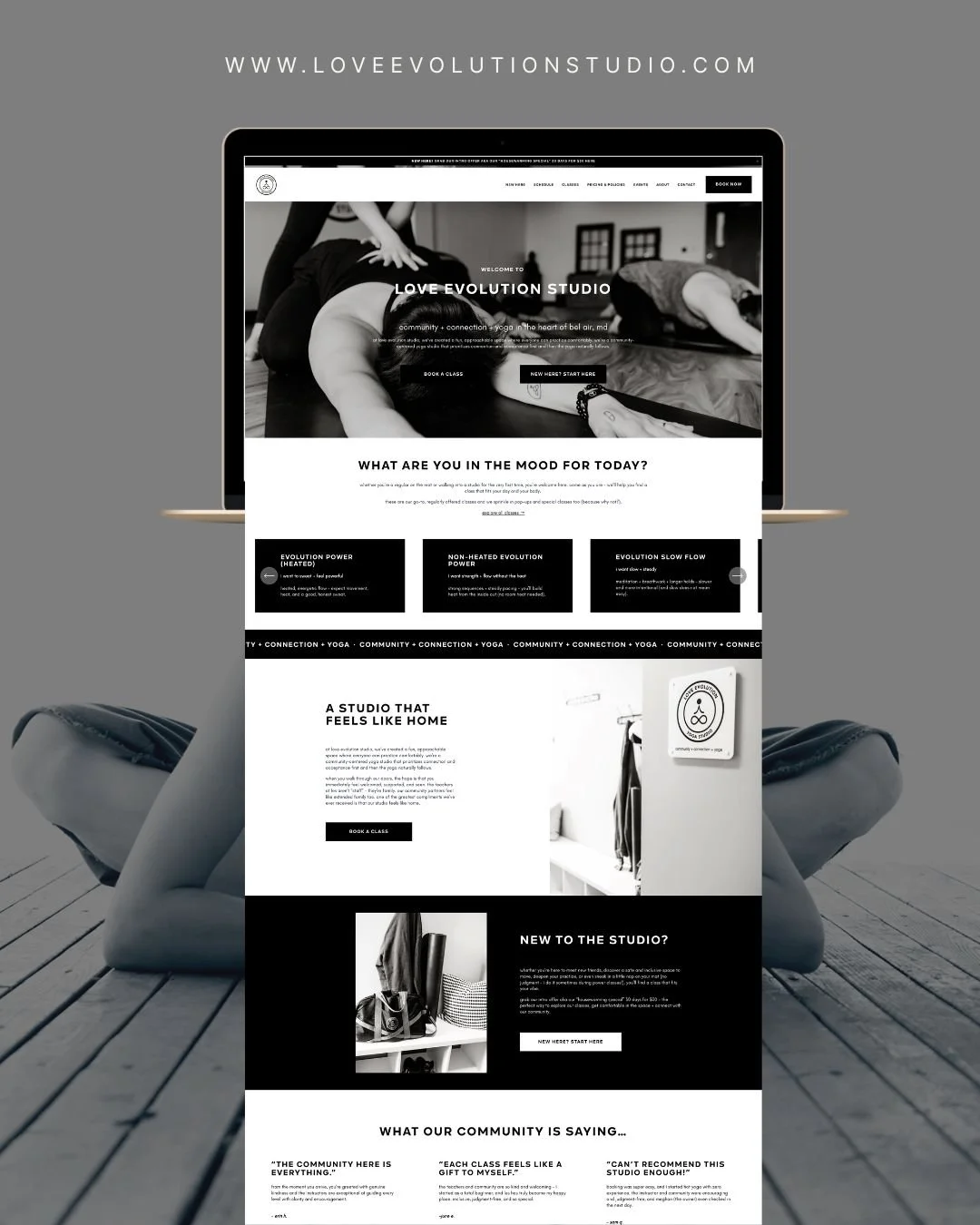 love evolution copy.jpg