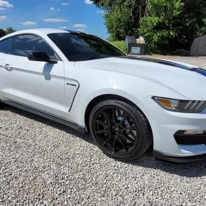 A Shelby Mustang with window and windshield tint.