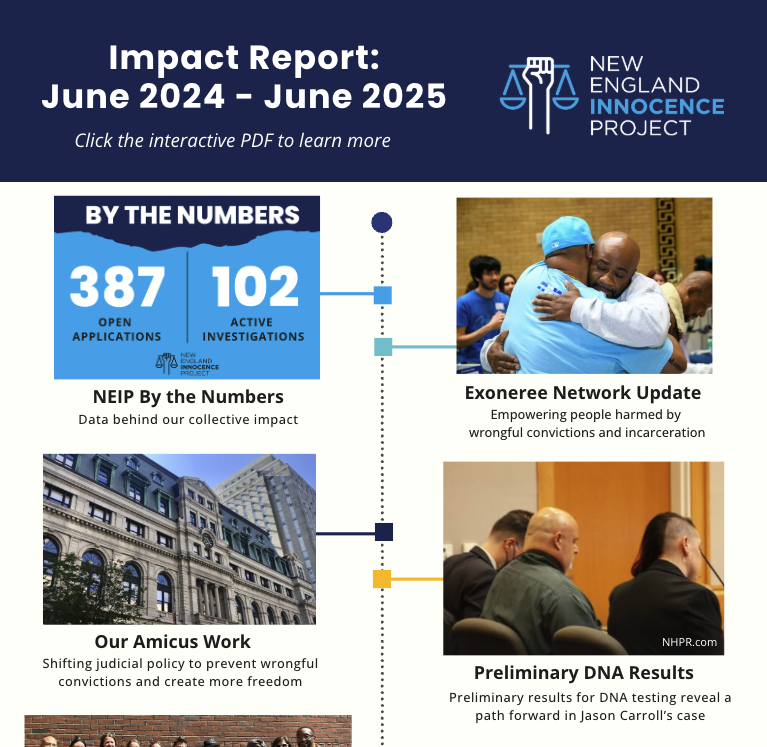 Our Impact Report is Here!