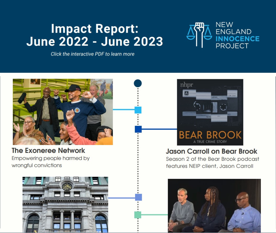 Our Impact Report is here!