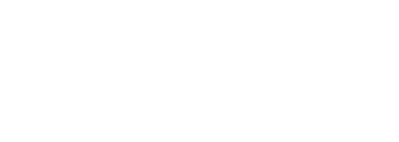 NEIP Logo_White Logo.png