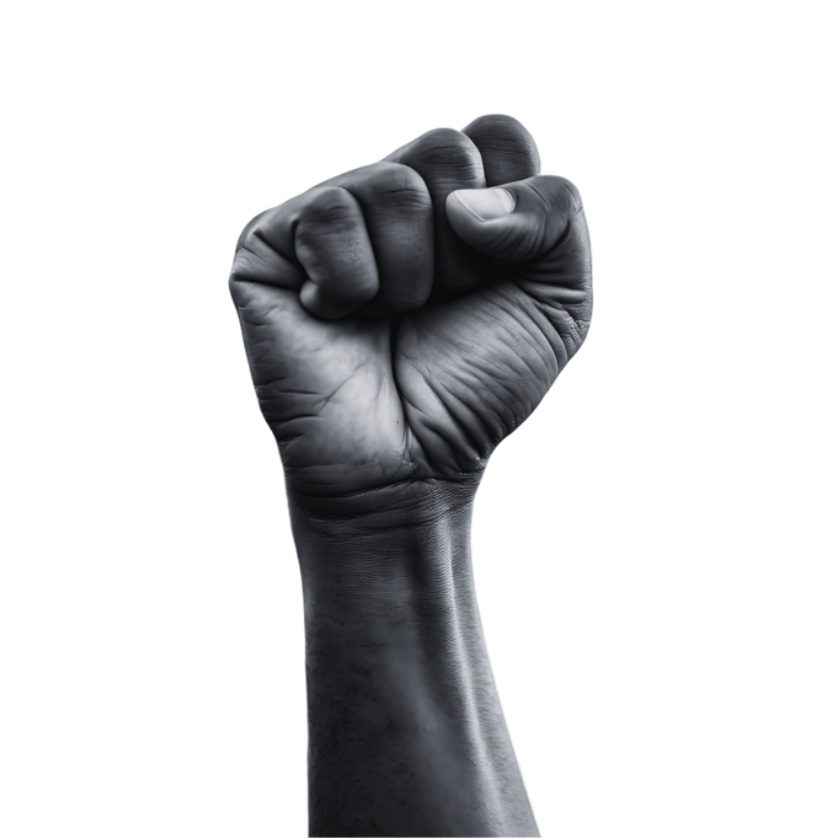 raised fist