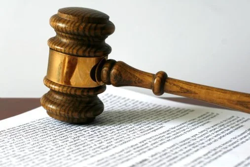 Pursuing Systemic Change through Our Amicus Work