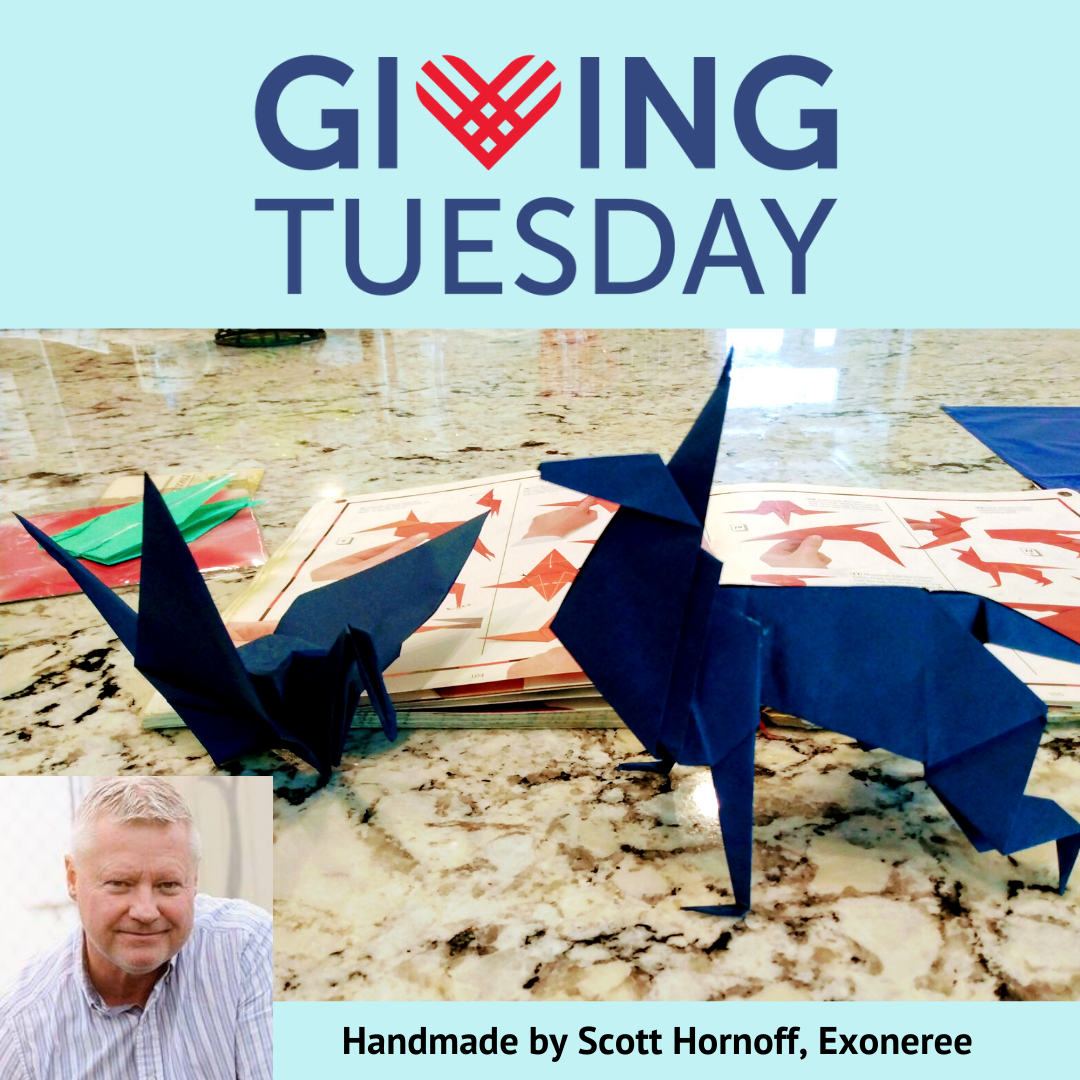 Giving Tuesday Special Offer: Receive an Origami Gift