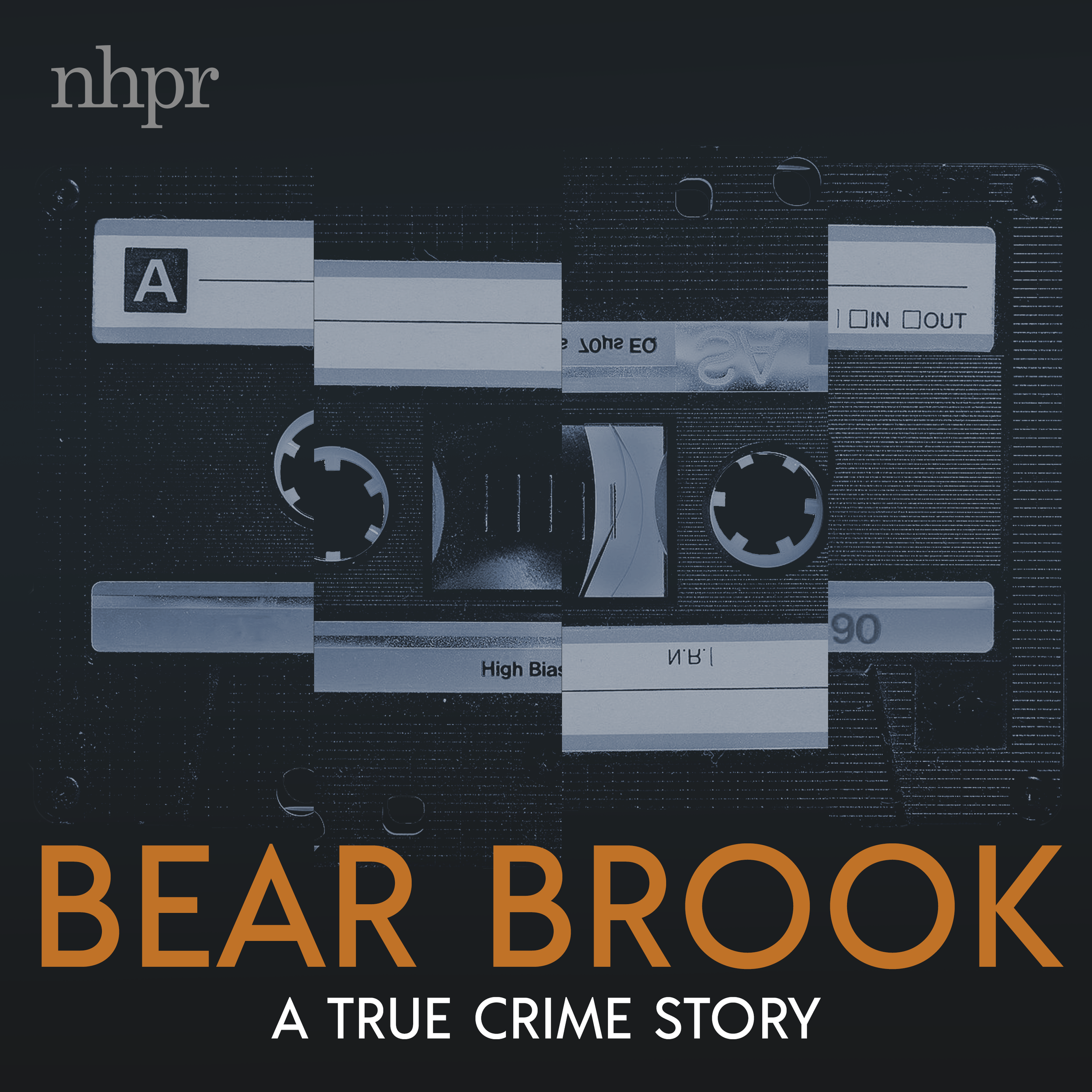 Bear Brook Season 2: A True Crime Story