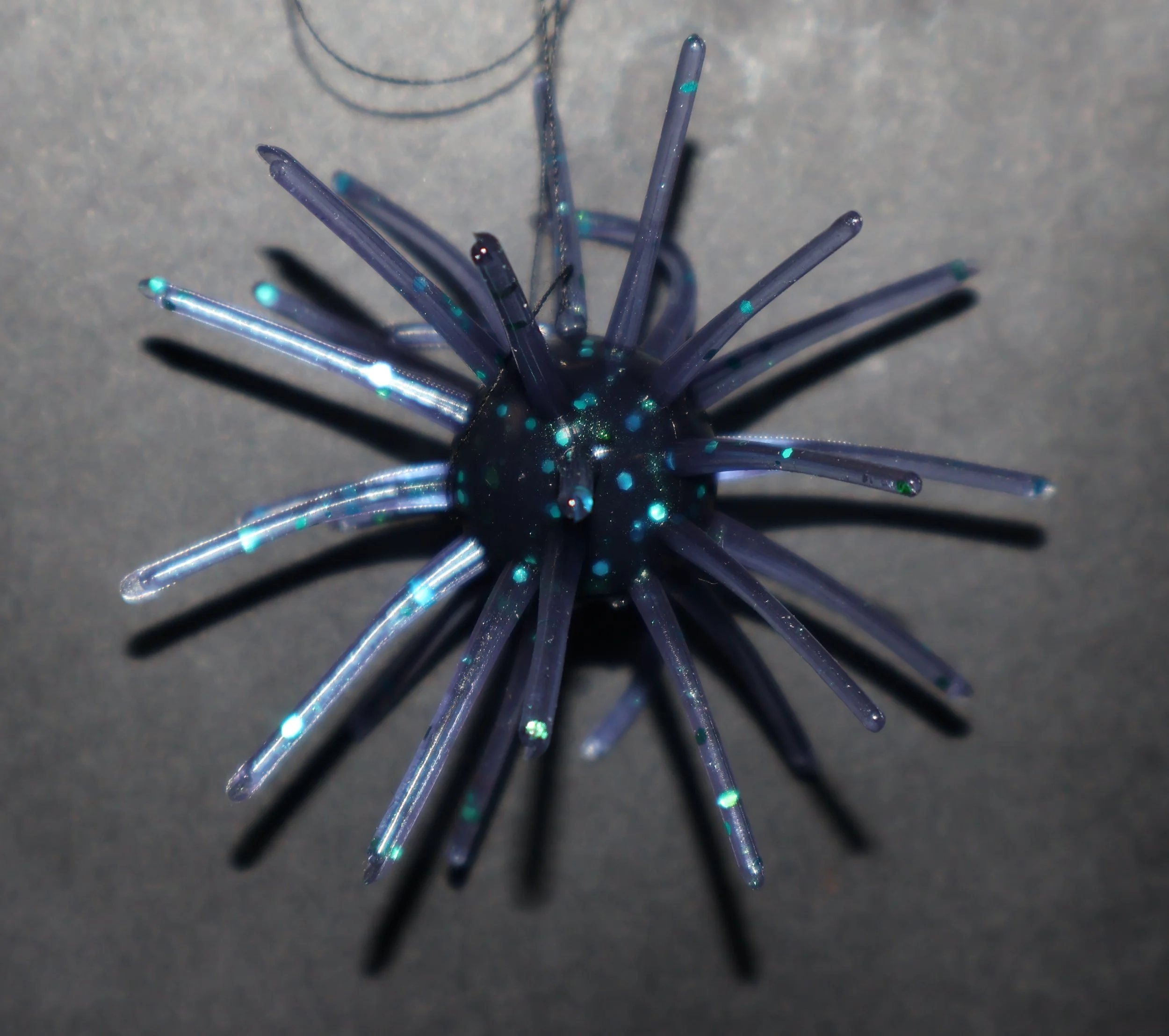 Junebug urchin.jpg