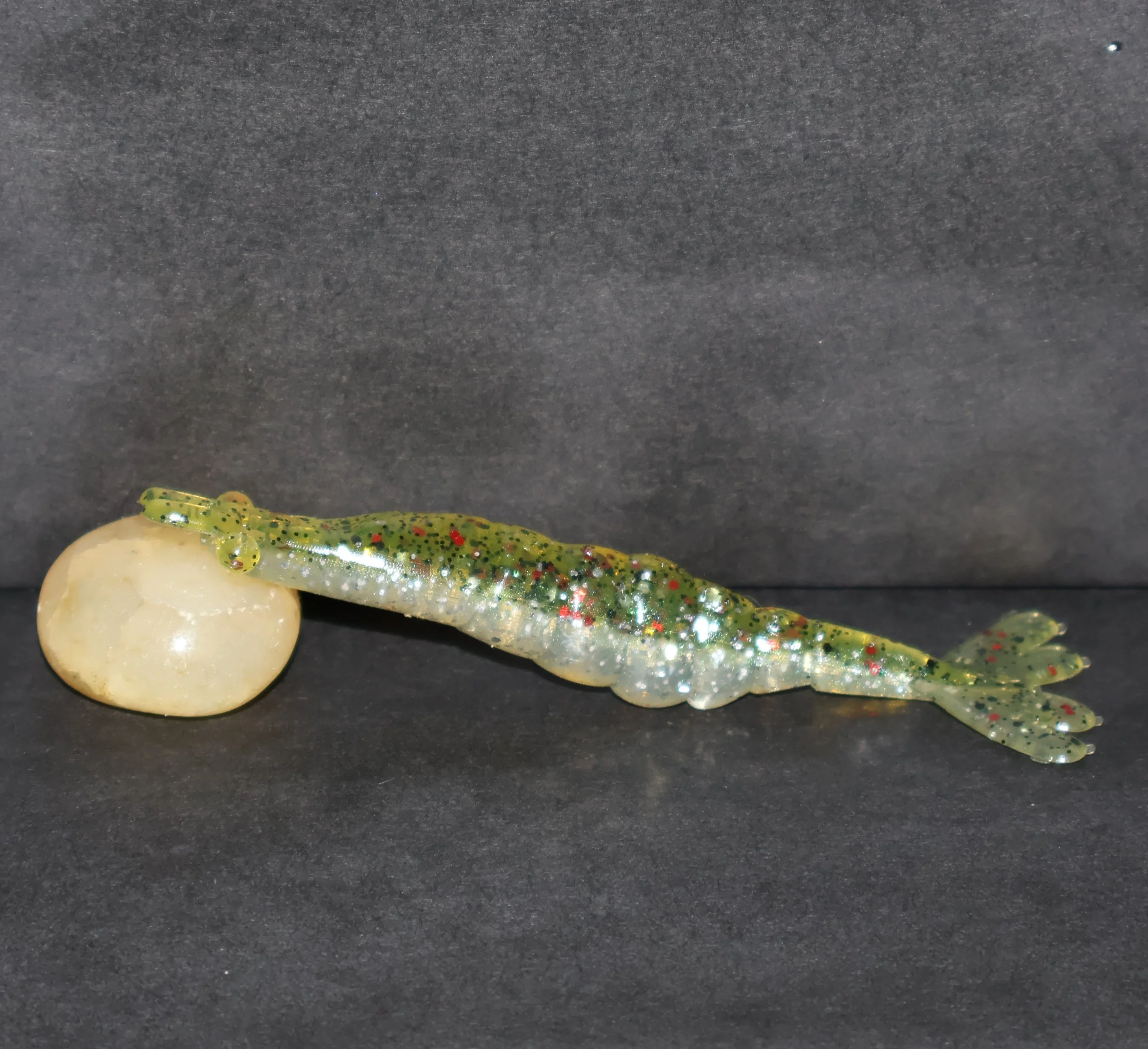 candy shrimp.jpg