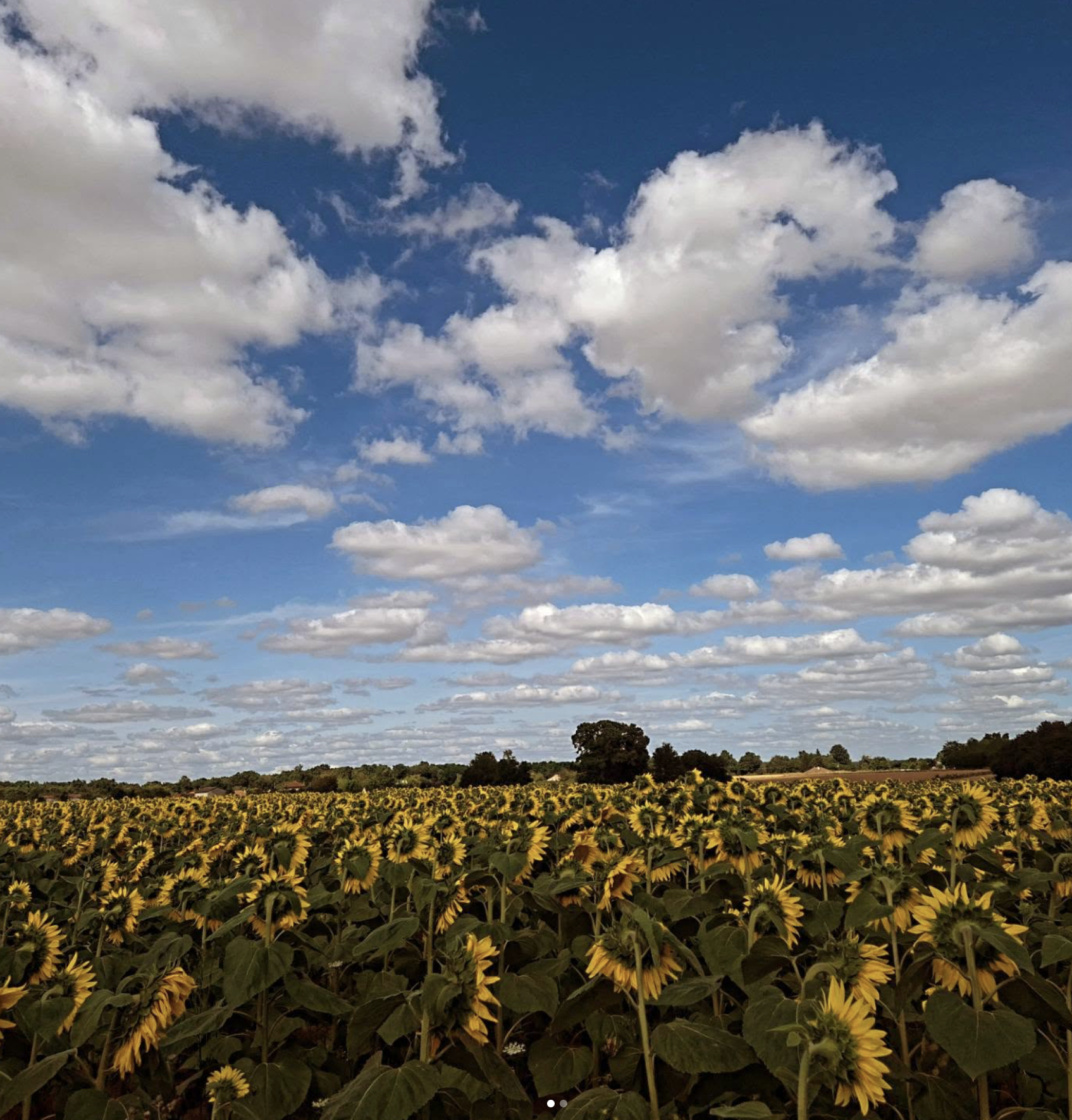 Screenshot 2026-01-05 at 15.38.08.png