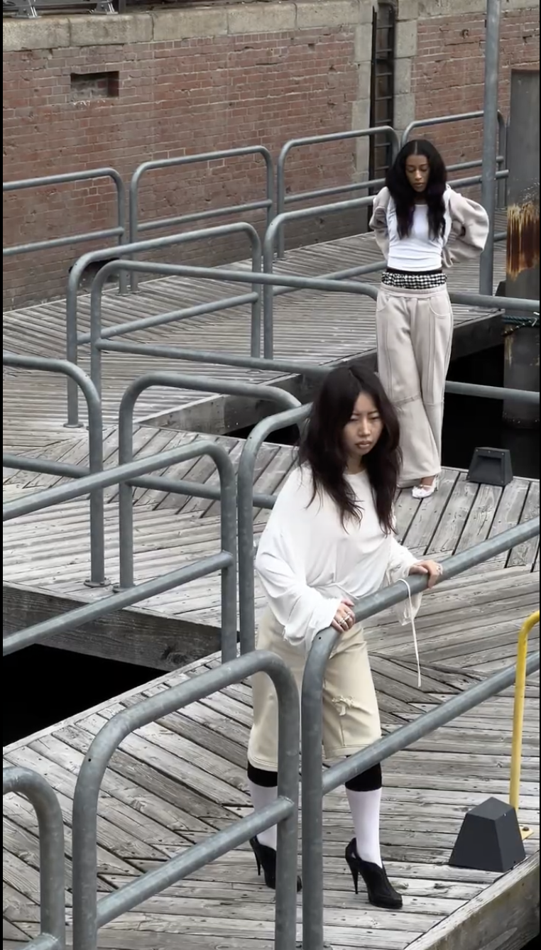 SenWiEnBe SOCIAL VIDEO "BSD"