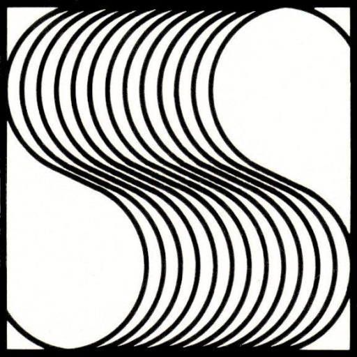 Abstraktes Schwarz-Weiß-Muster mit geschwungenen Linien in einem Quadrat