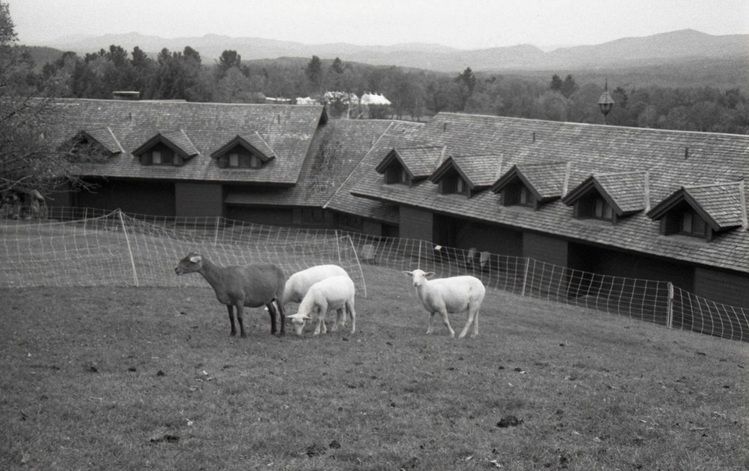 Louisa Story20251118_87.jpg