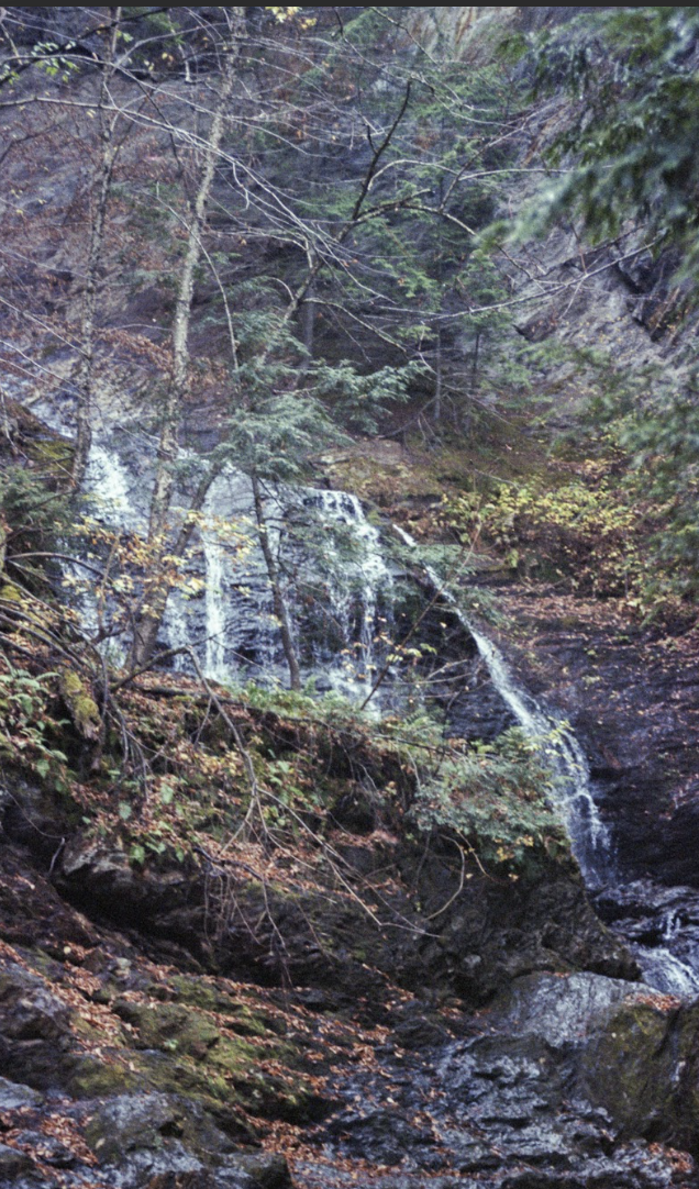 Screenshot 2026-01-17 at 7.39.42 PM.png