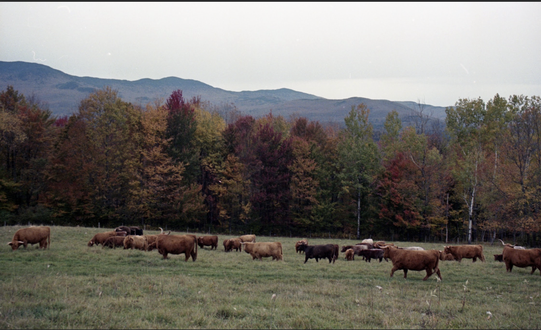 Screenshot 2026-01-17 at 7.35.43 PM.png